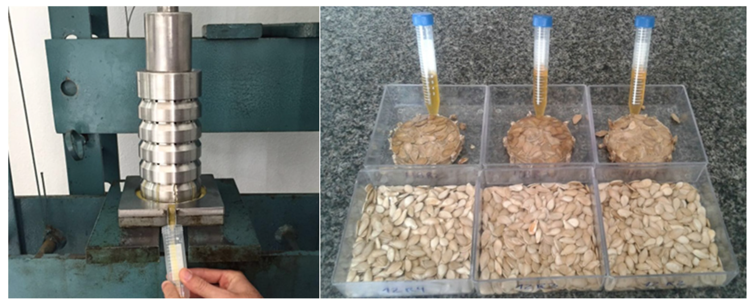 Plants 14 02317 g002