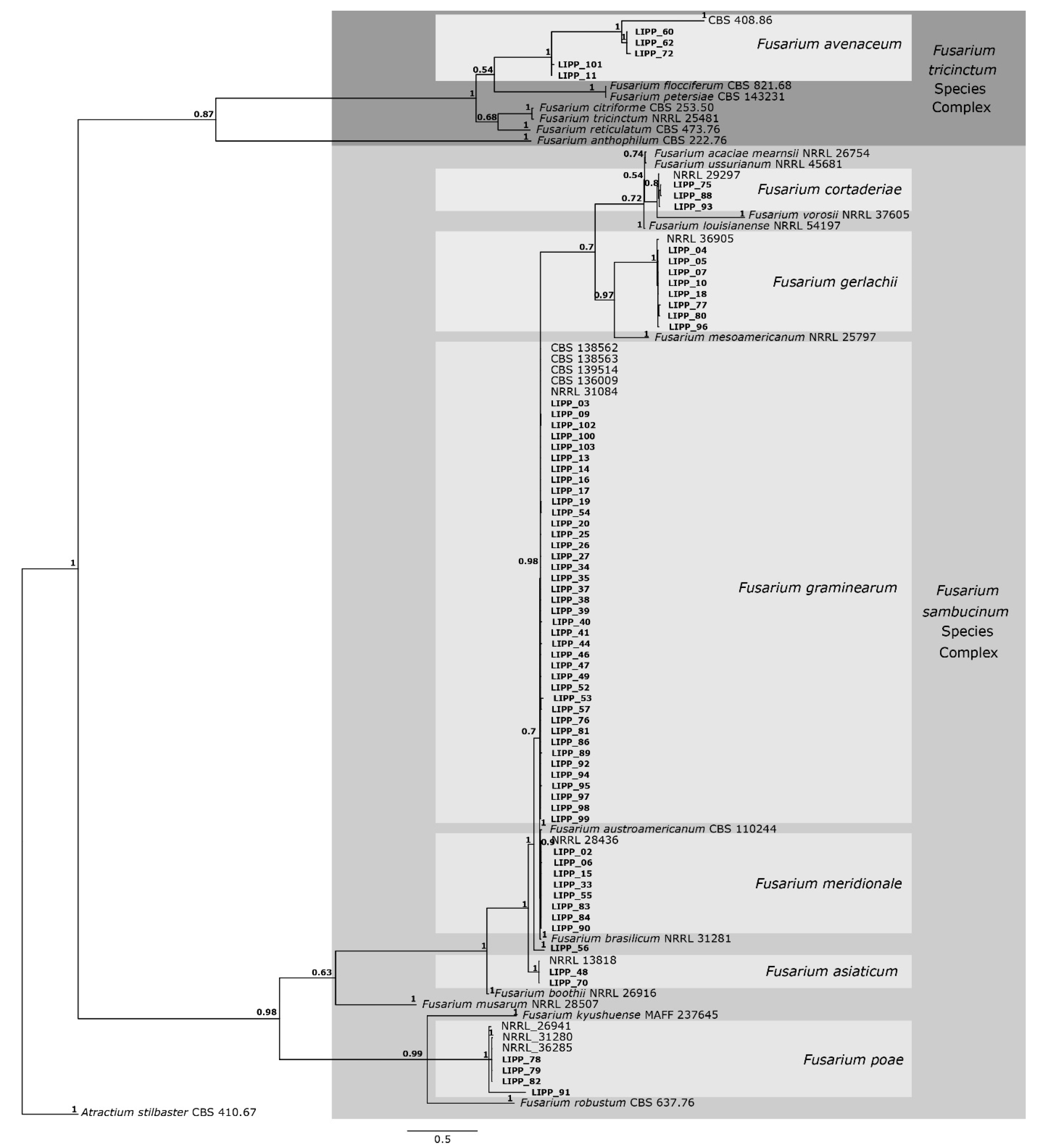 Plants 14 02327 g002