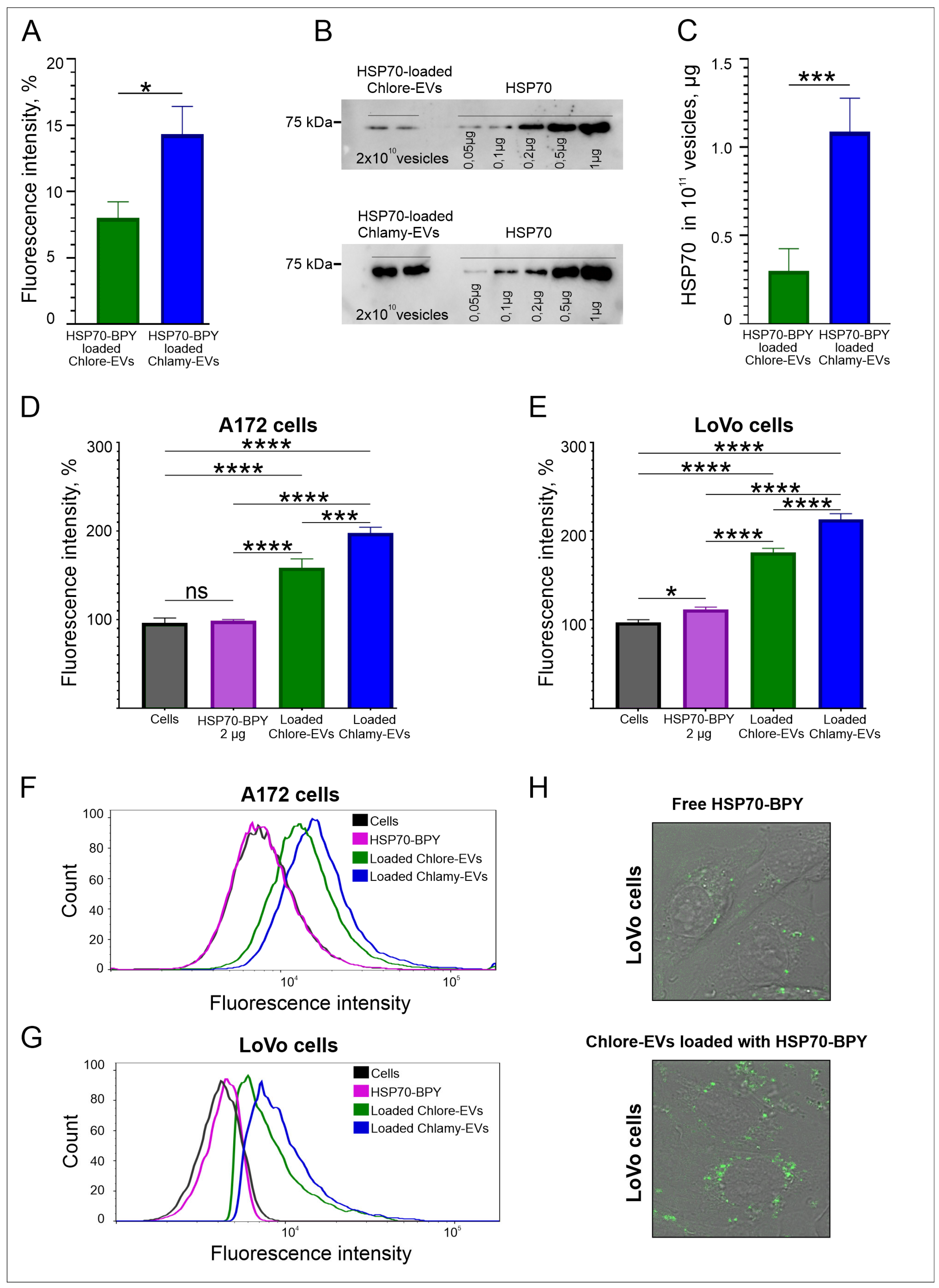 Plants 14 02354 g005