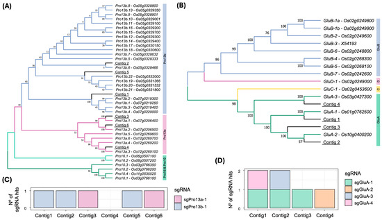 Plants 14 02355 g002