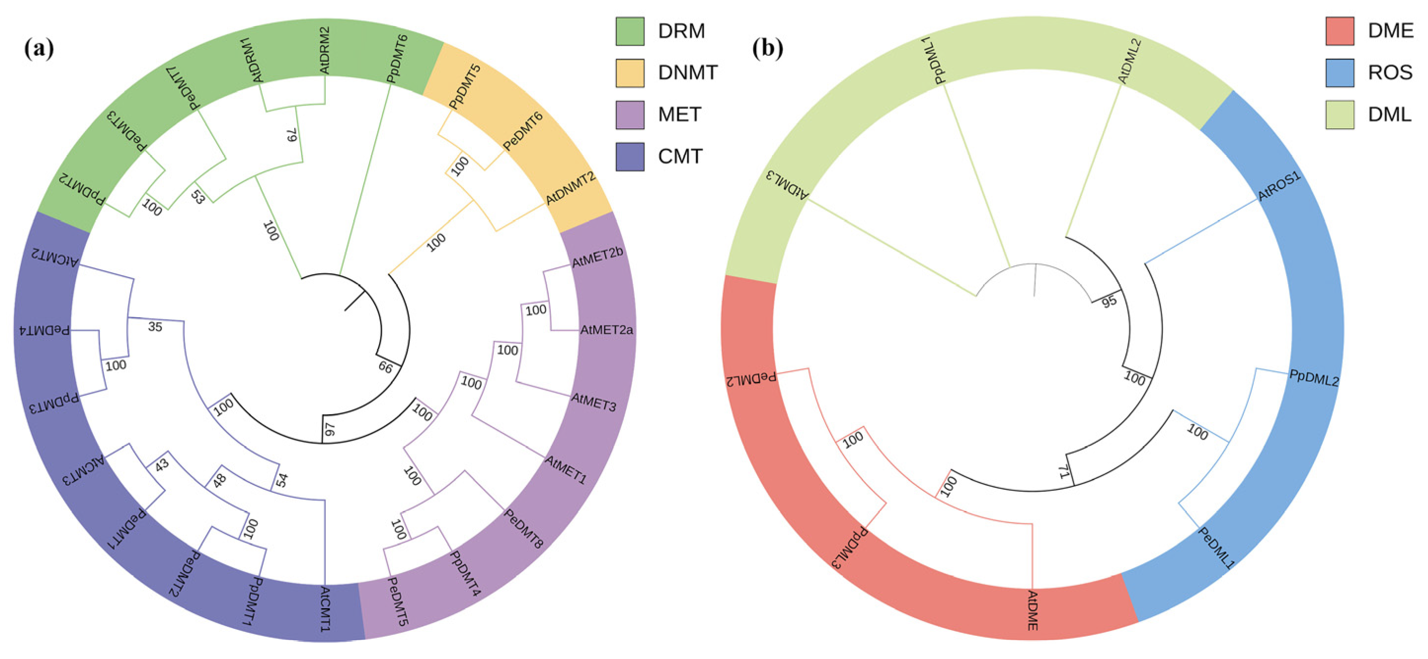 Plants 14 02370 g002