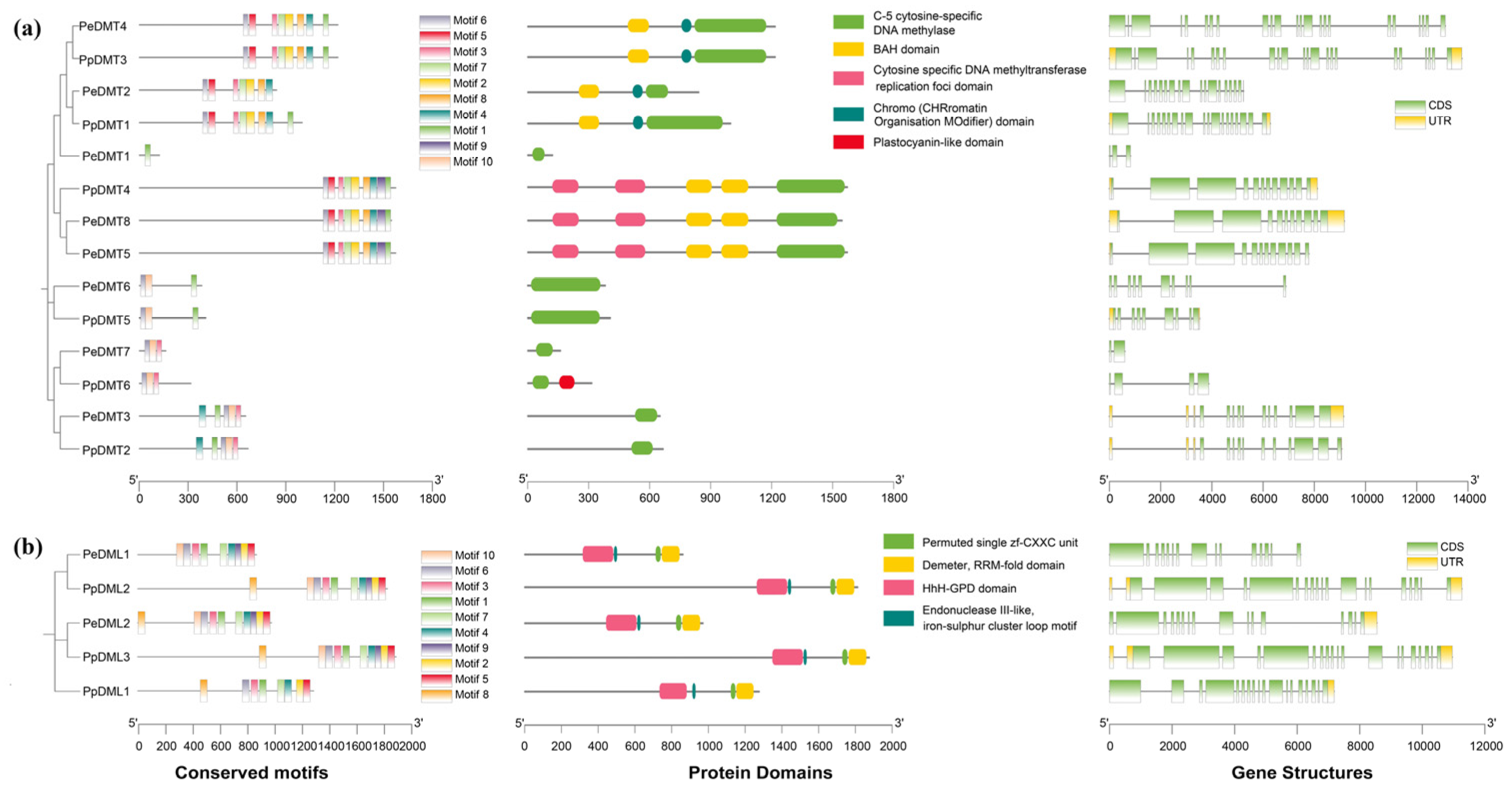 Plants 14 02370 g003