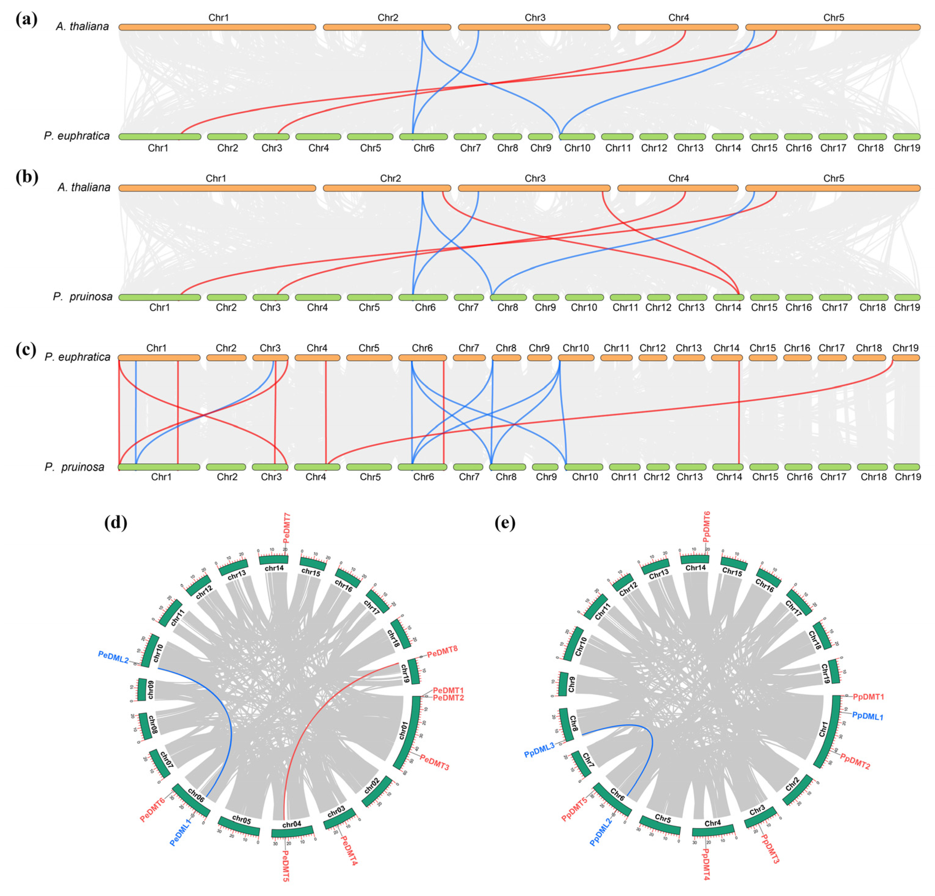 Plants 14 02370 g004