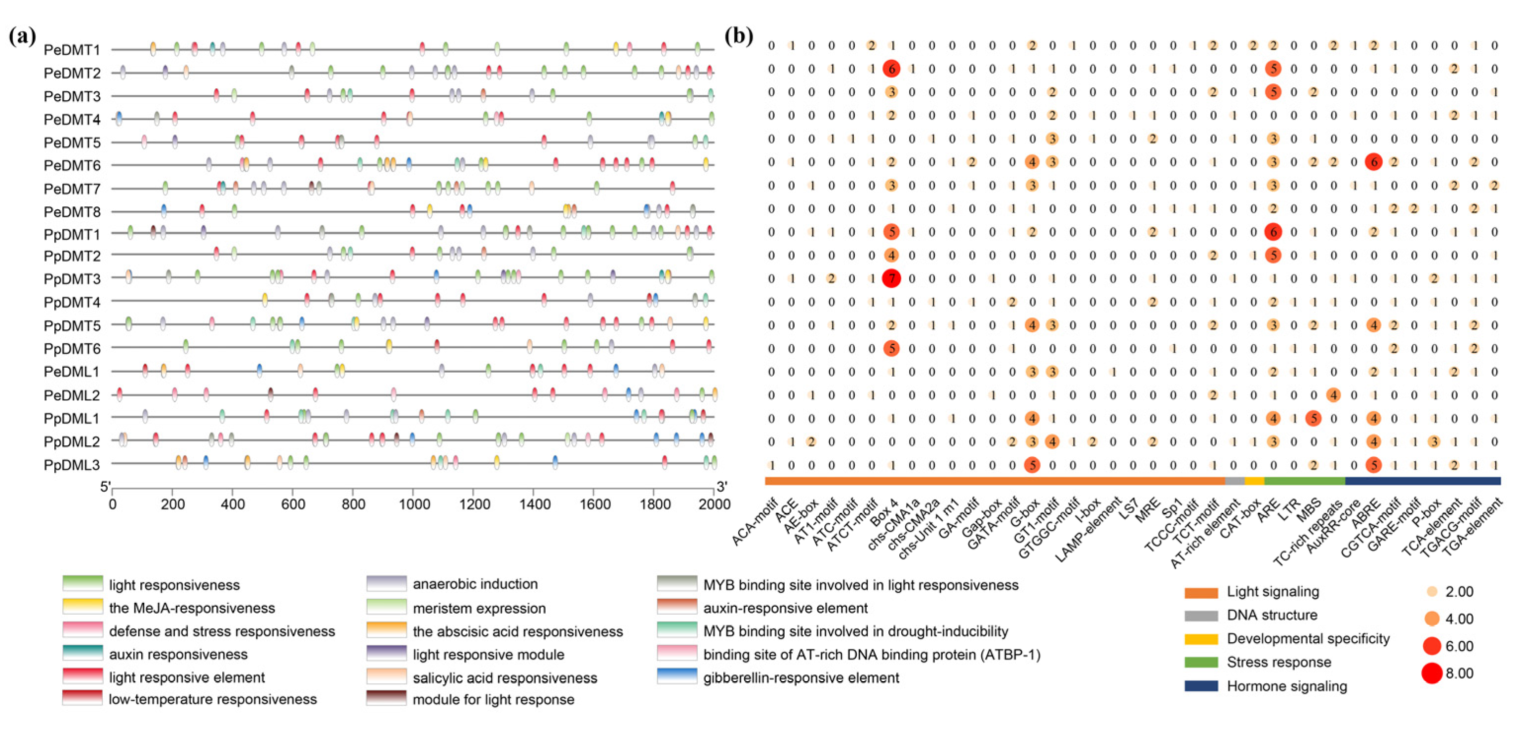 Plants 14 02370 g005