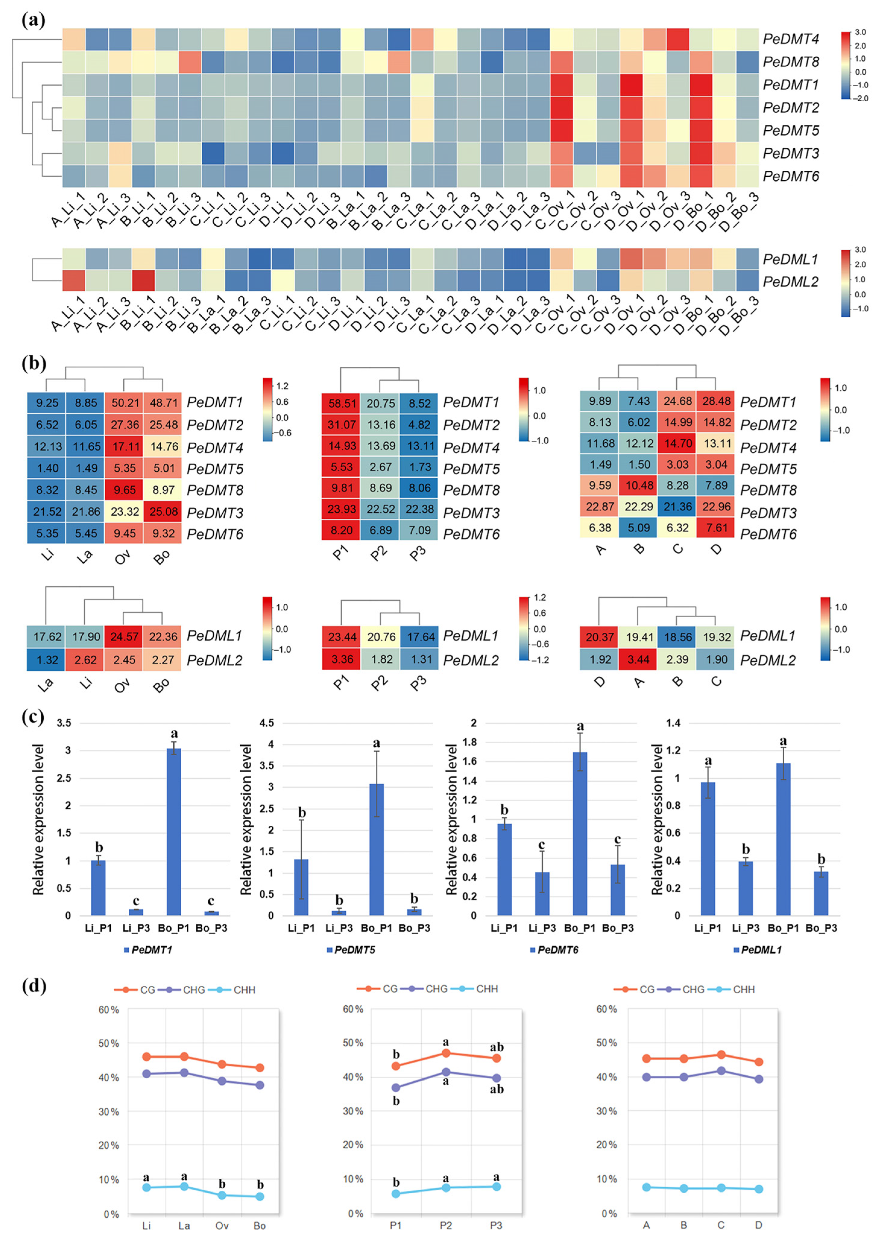 Plants 14 02370 g006