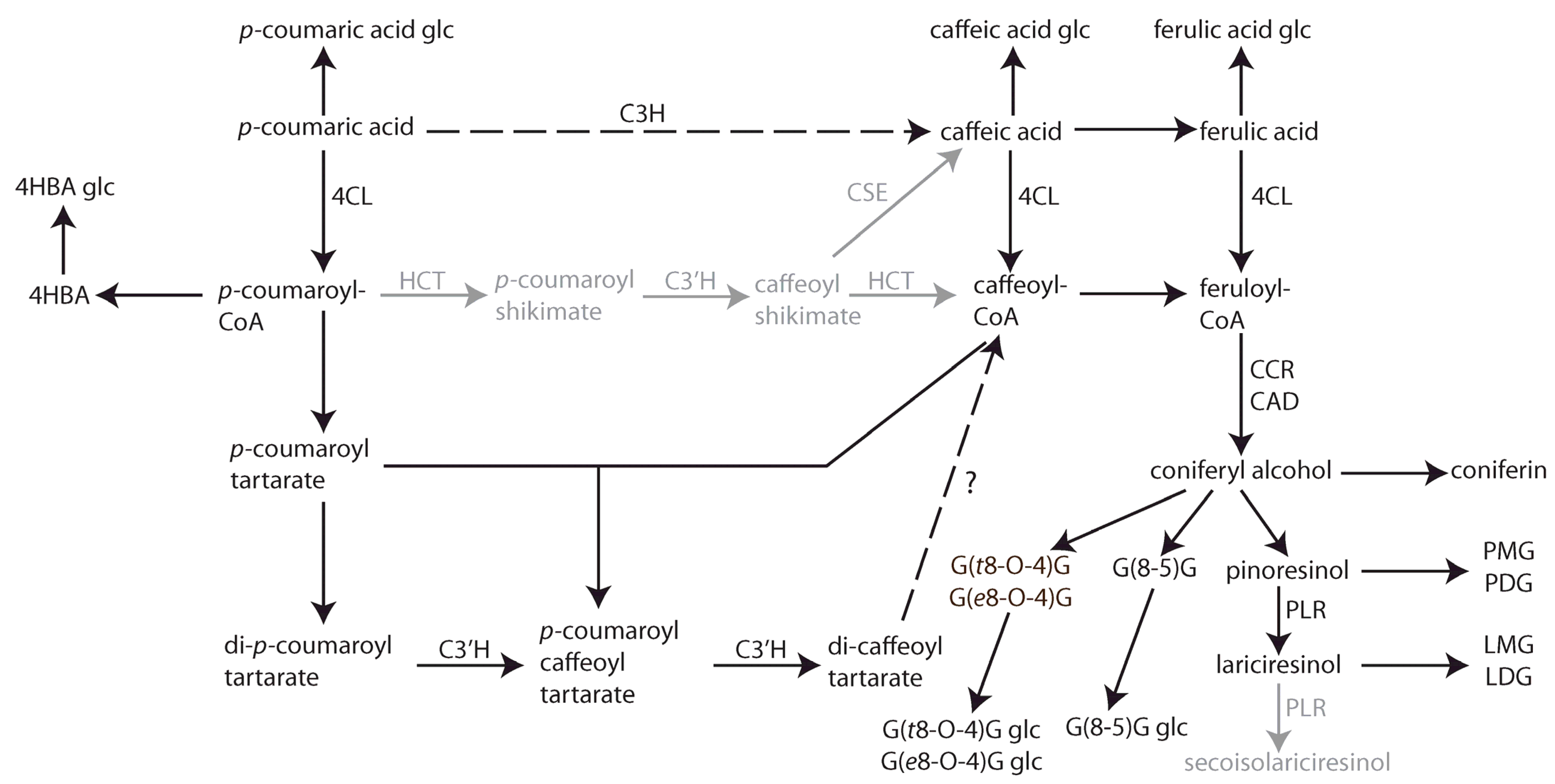 Plants 14 02371 g006