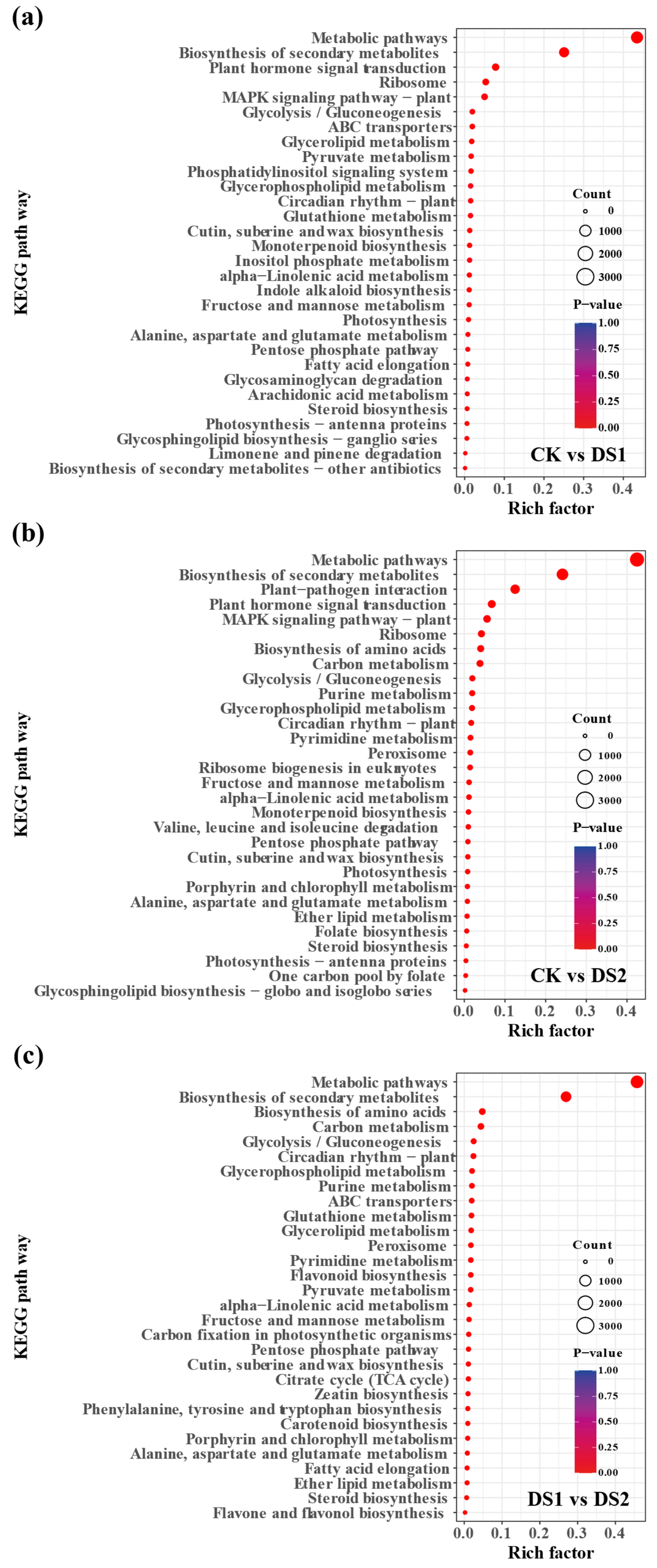 Plants 14 02383 g003