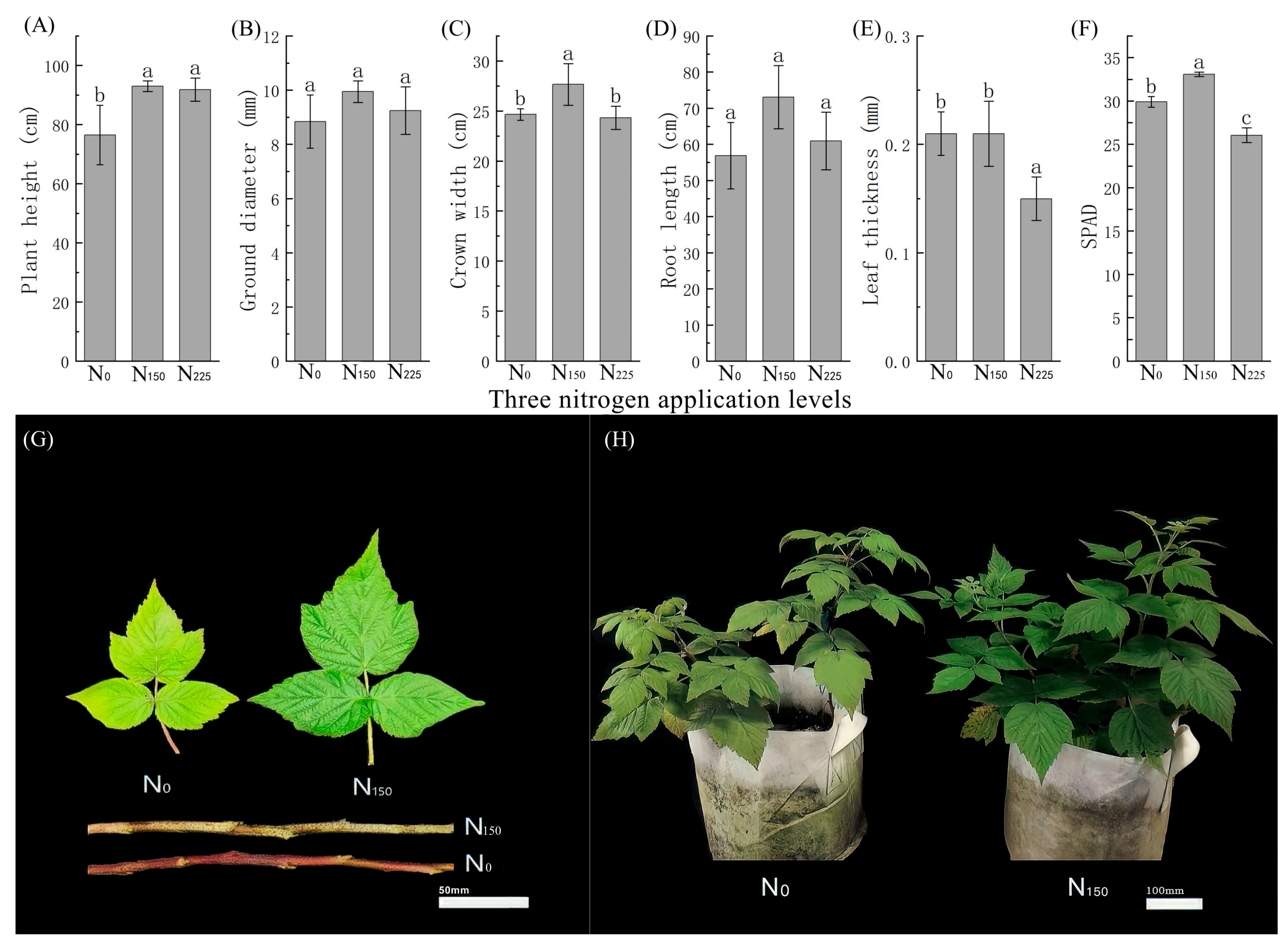 Plants 14 02388 g003