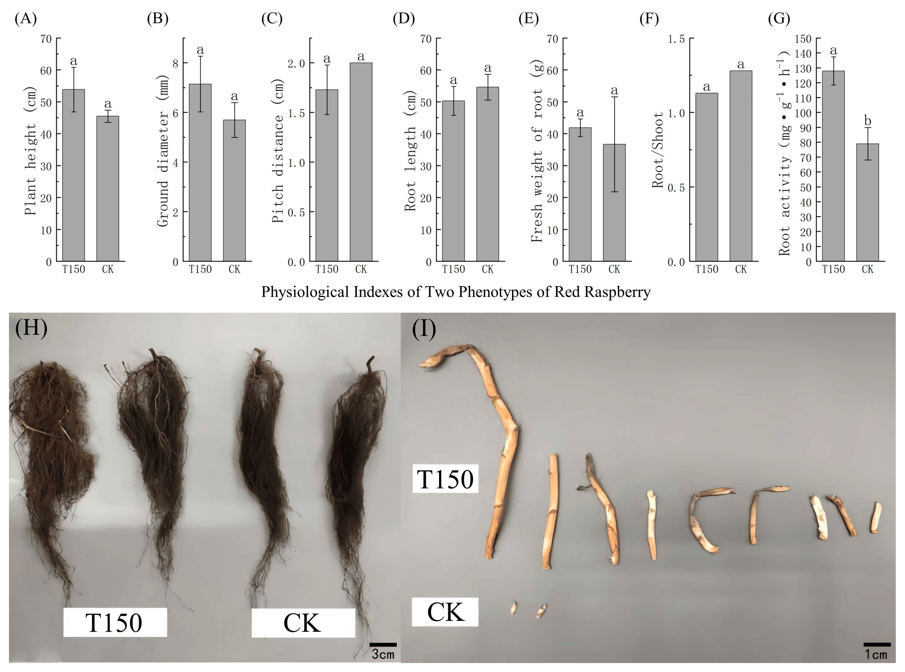 Plants 14 02388 g004
