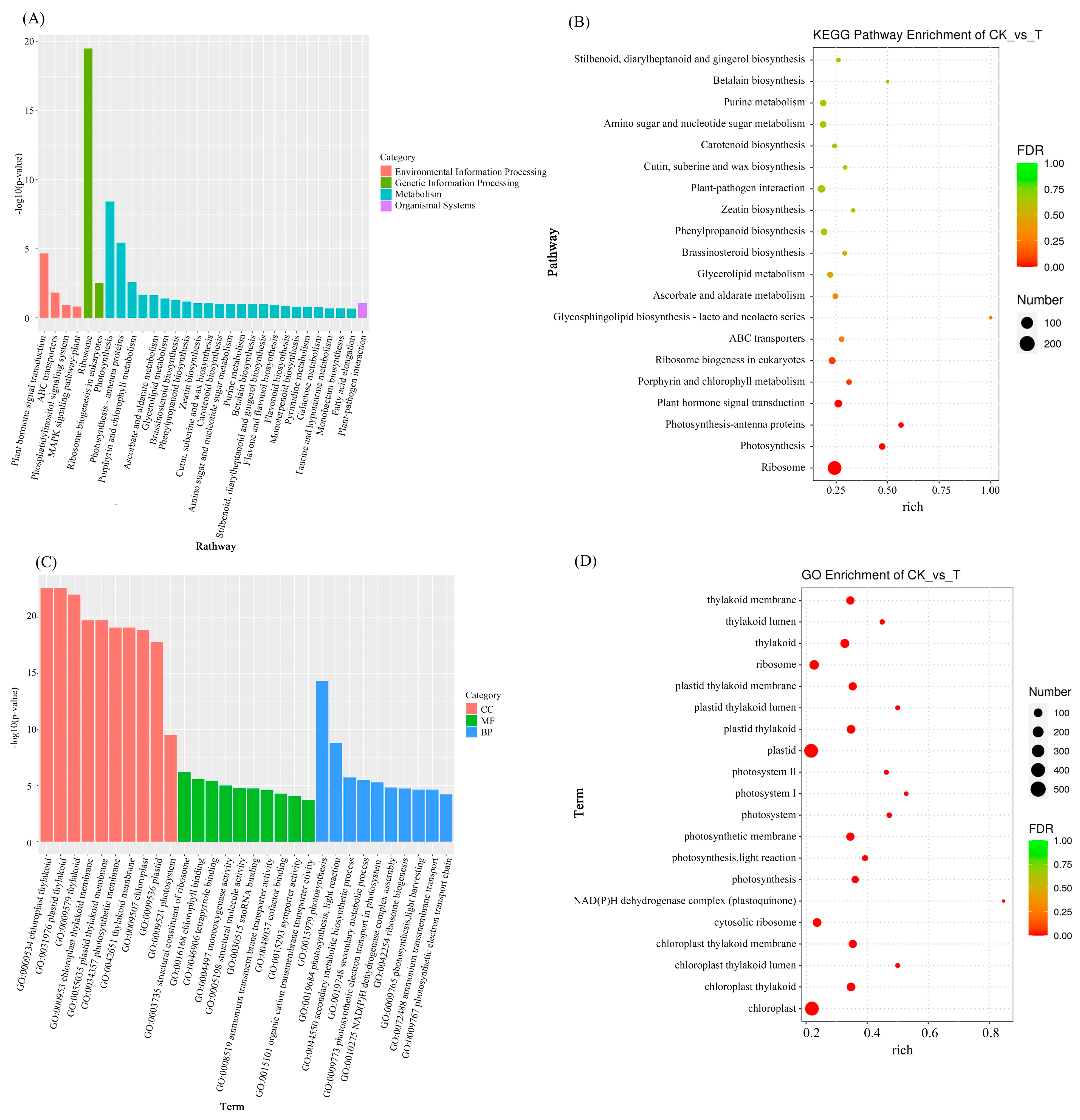 Plants 14 02388 g009