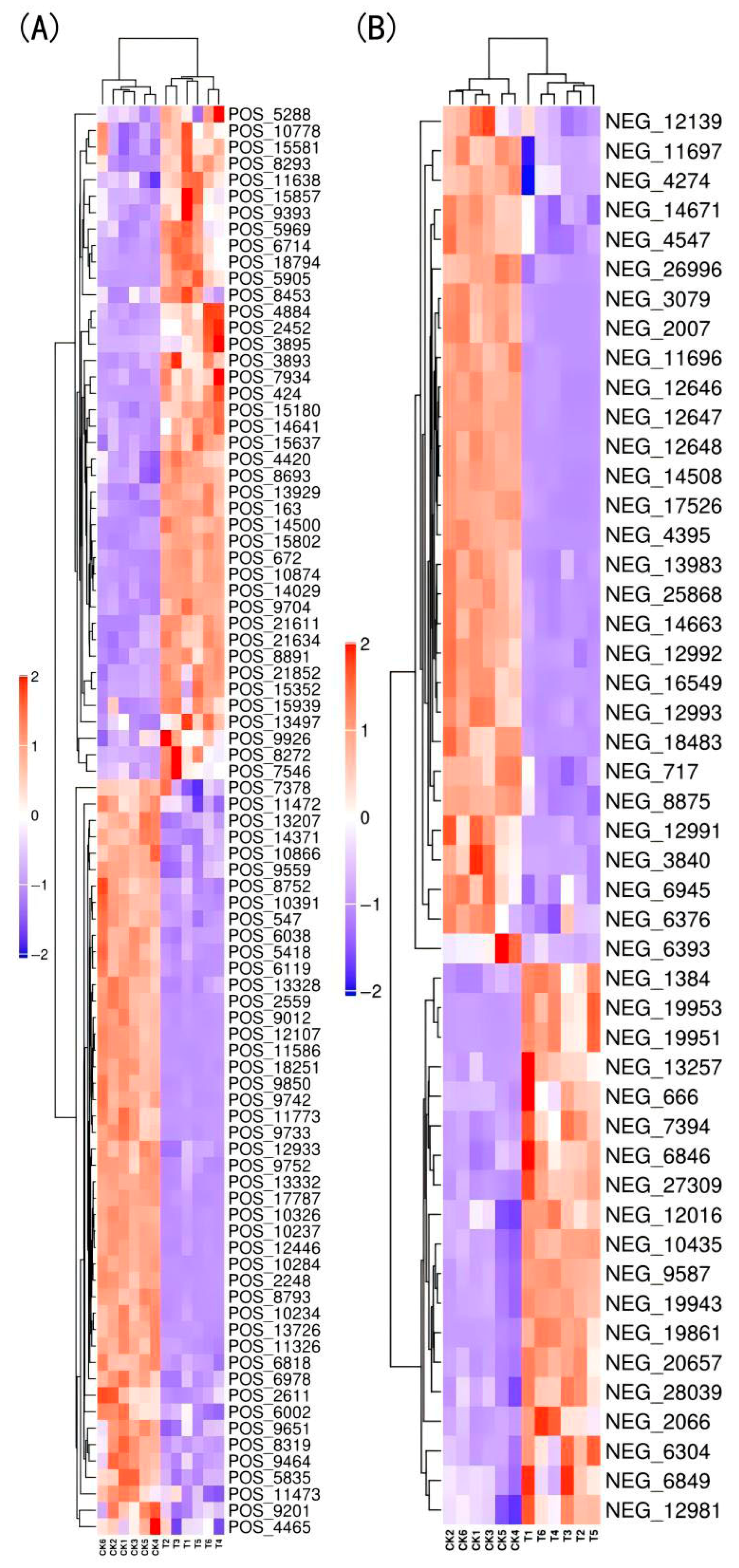 Plants 14 02388 g011