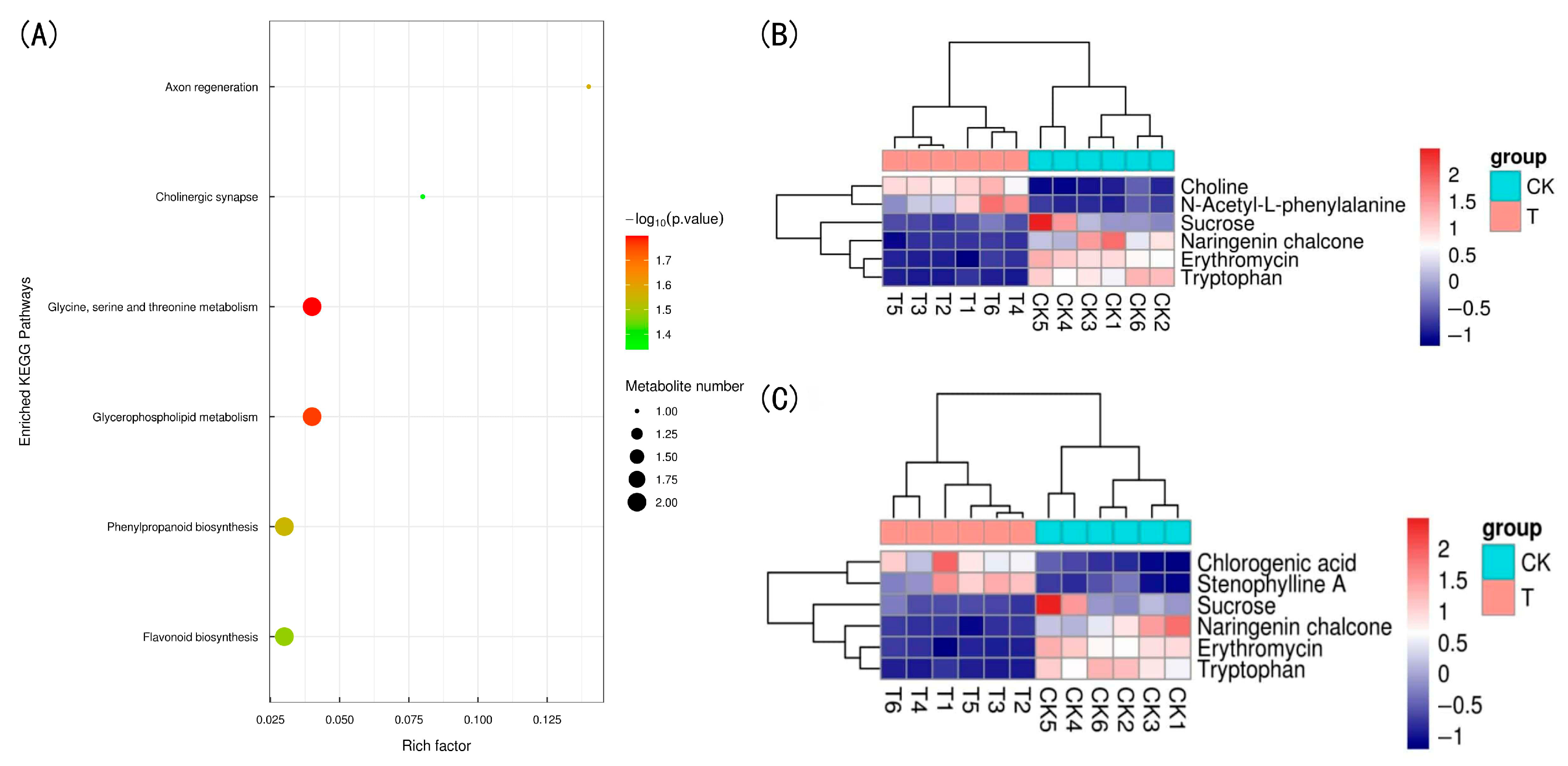 Plants 14 02388 g012
