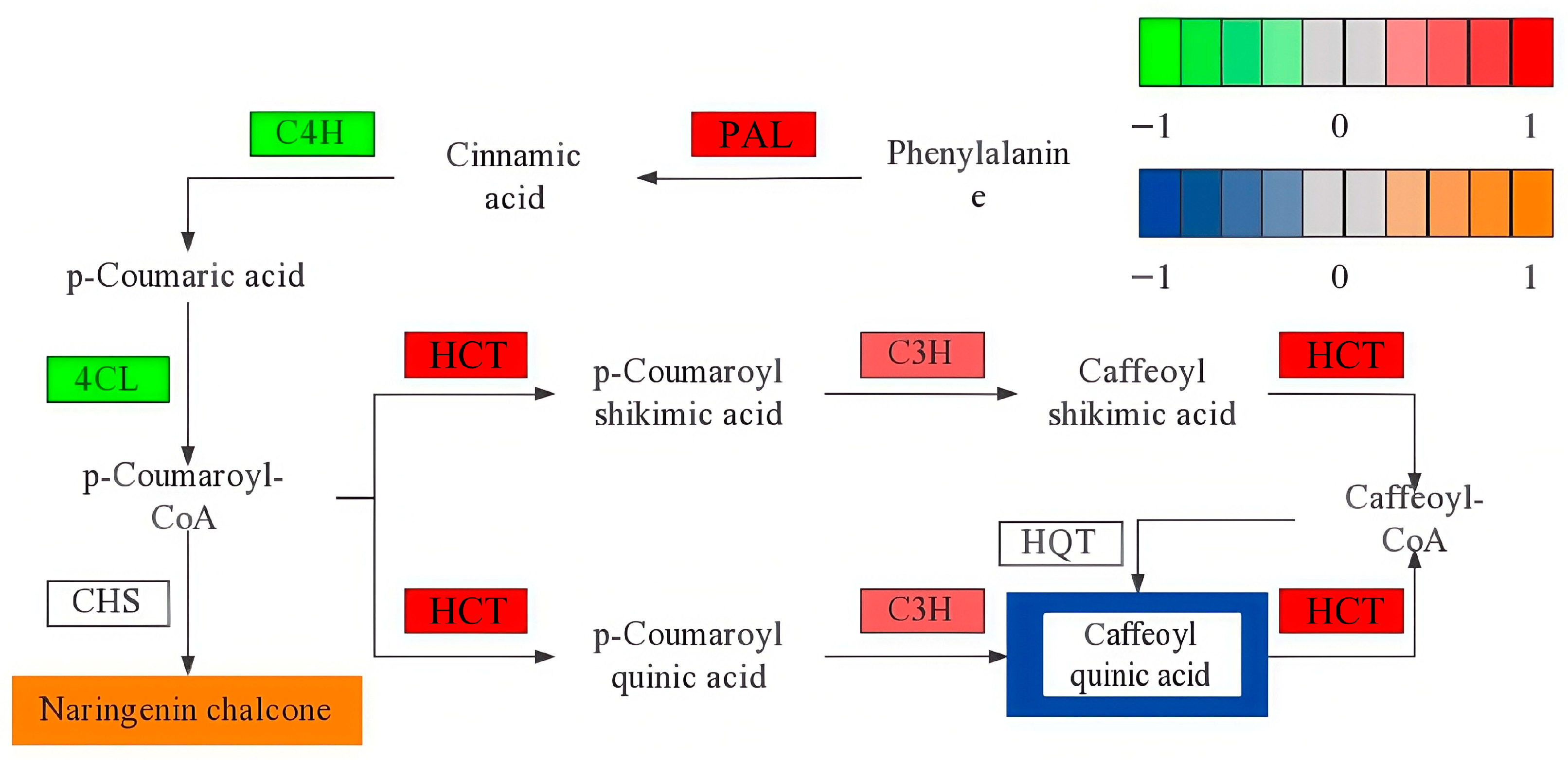 Plants 14 02388 g013