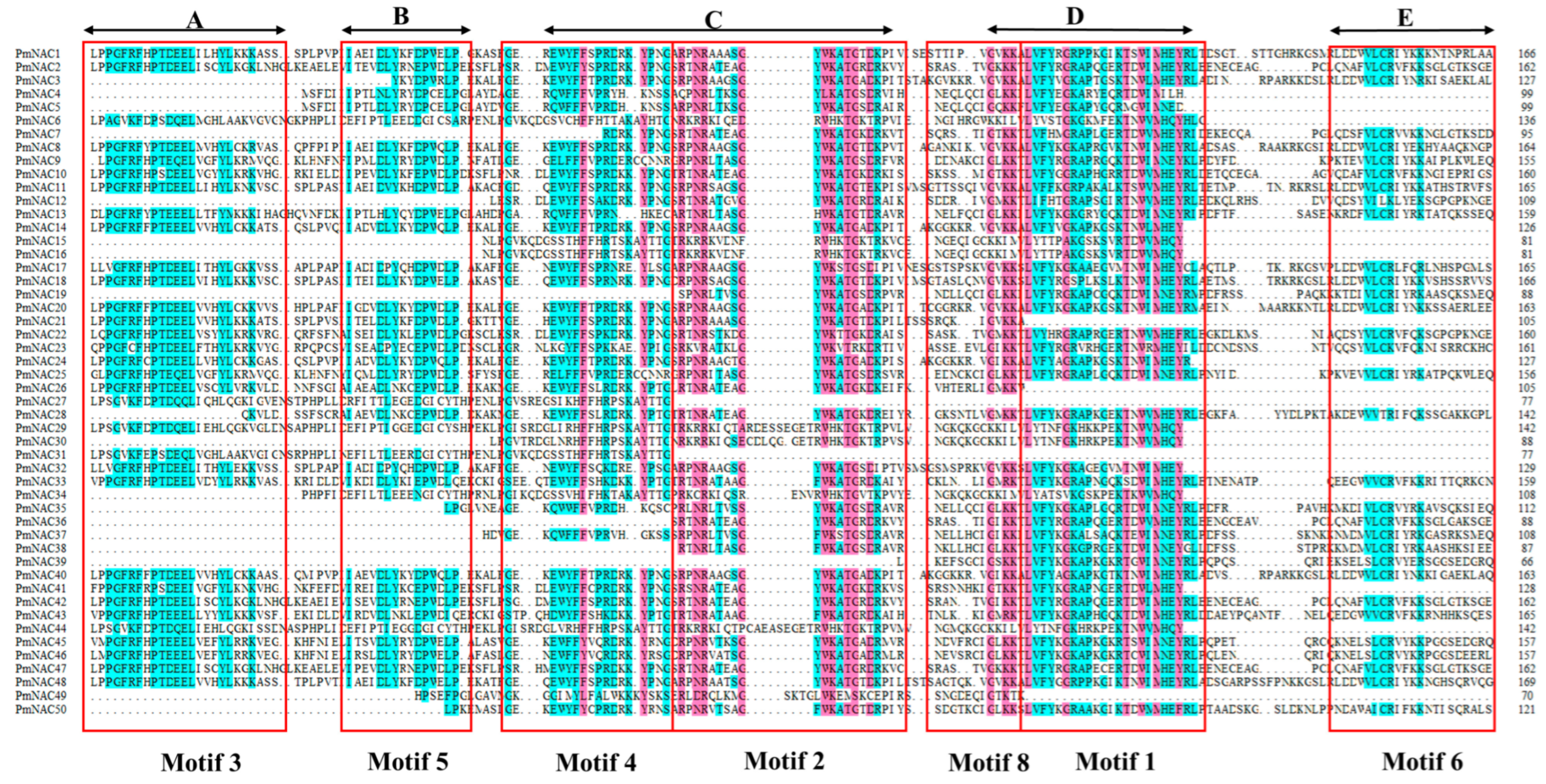 Plants 14 02399 g001