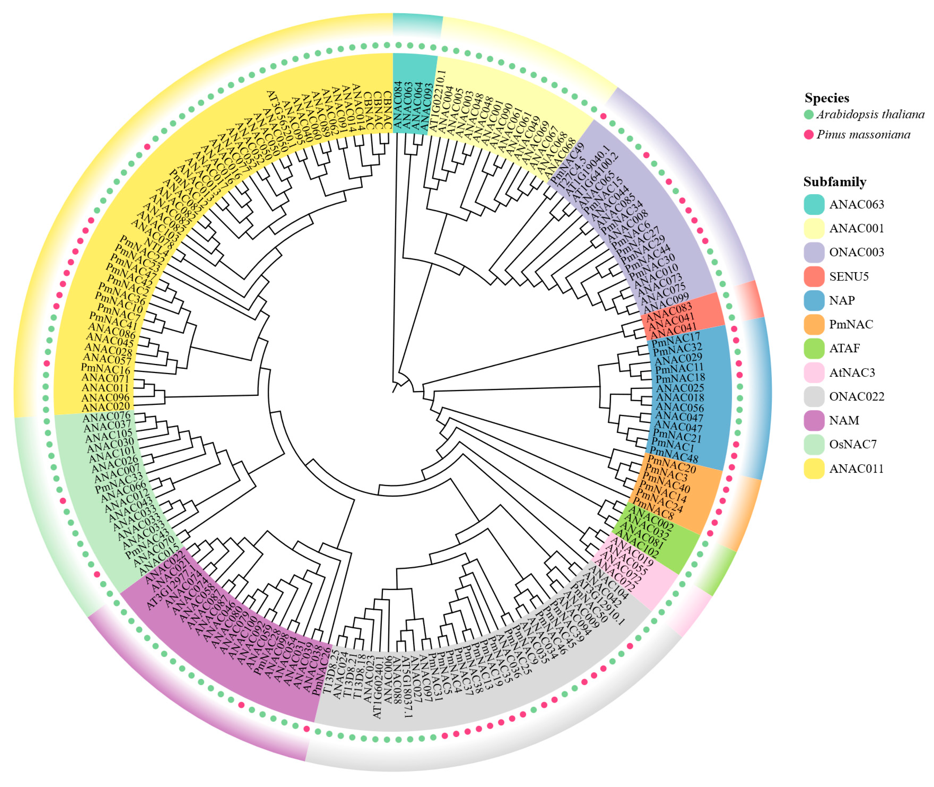 Plants 14 02399 g002