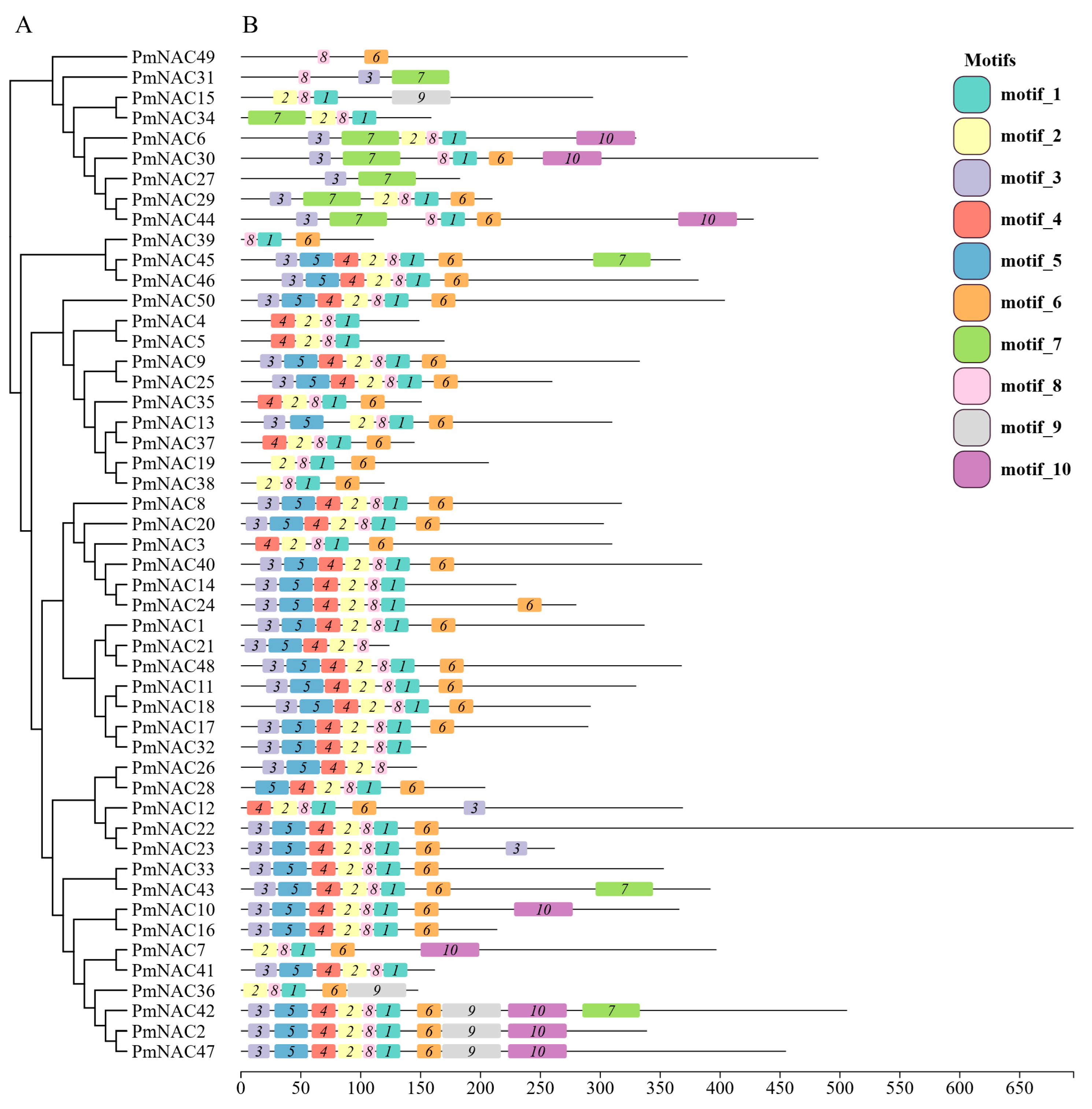 Plants 14 02399 g003