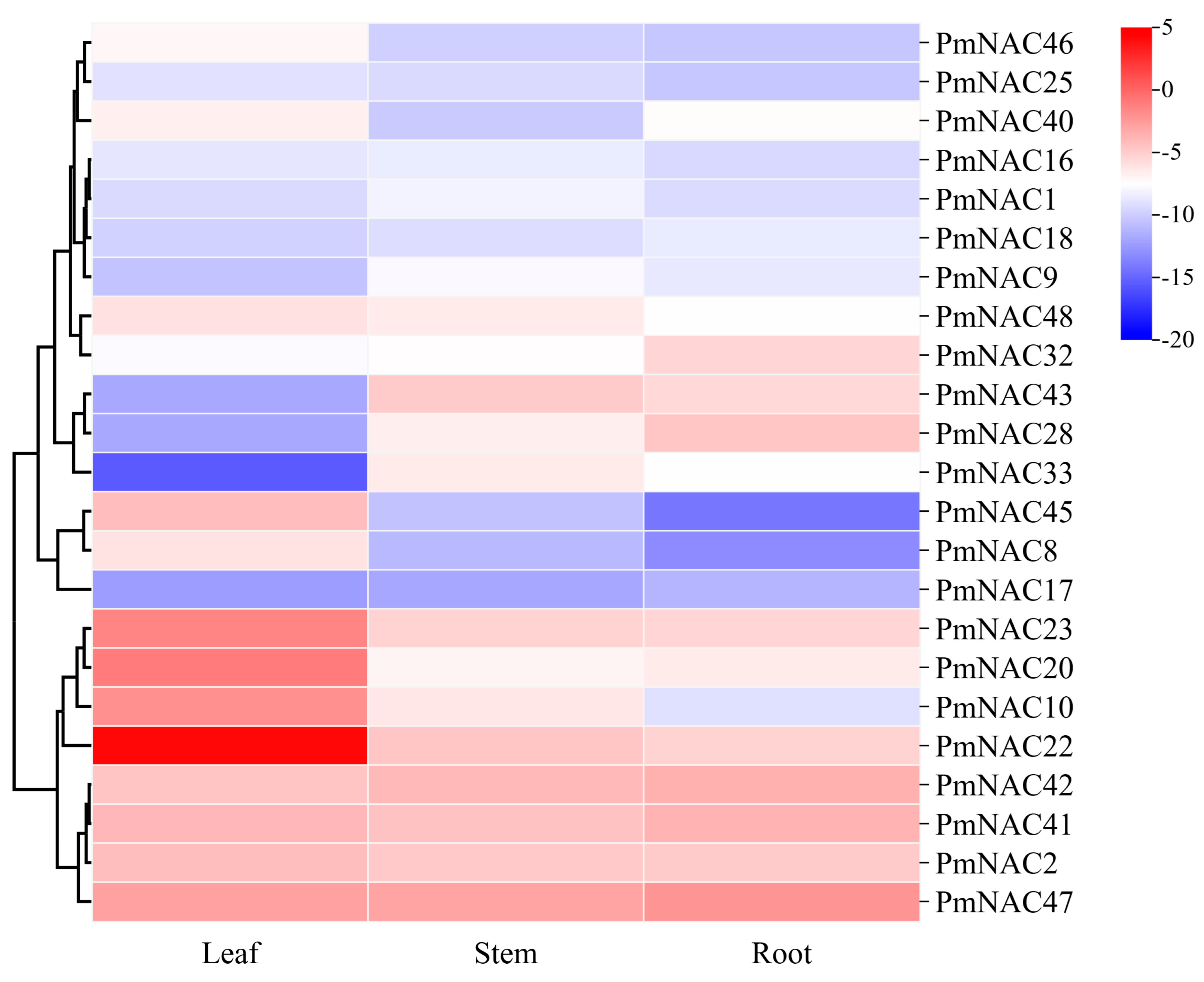 Plants 14 02399 g004