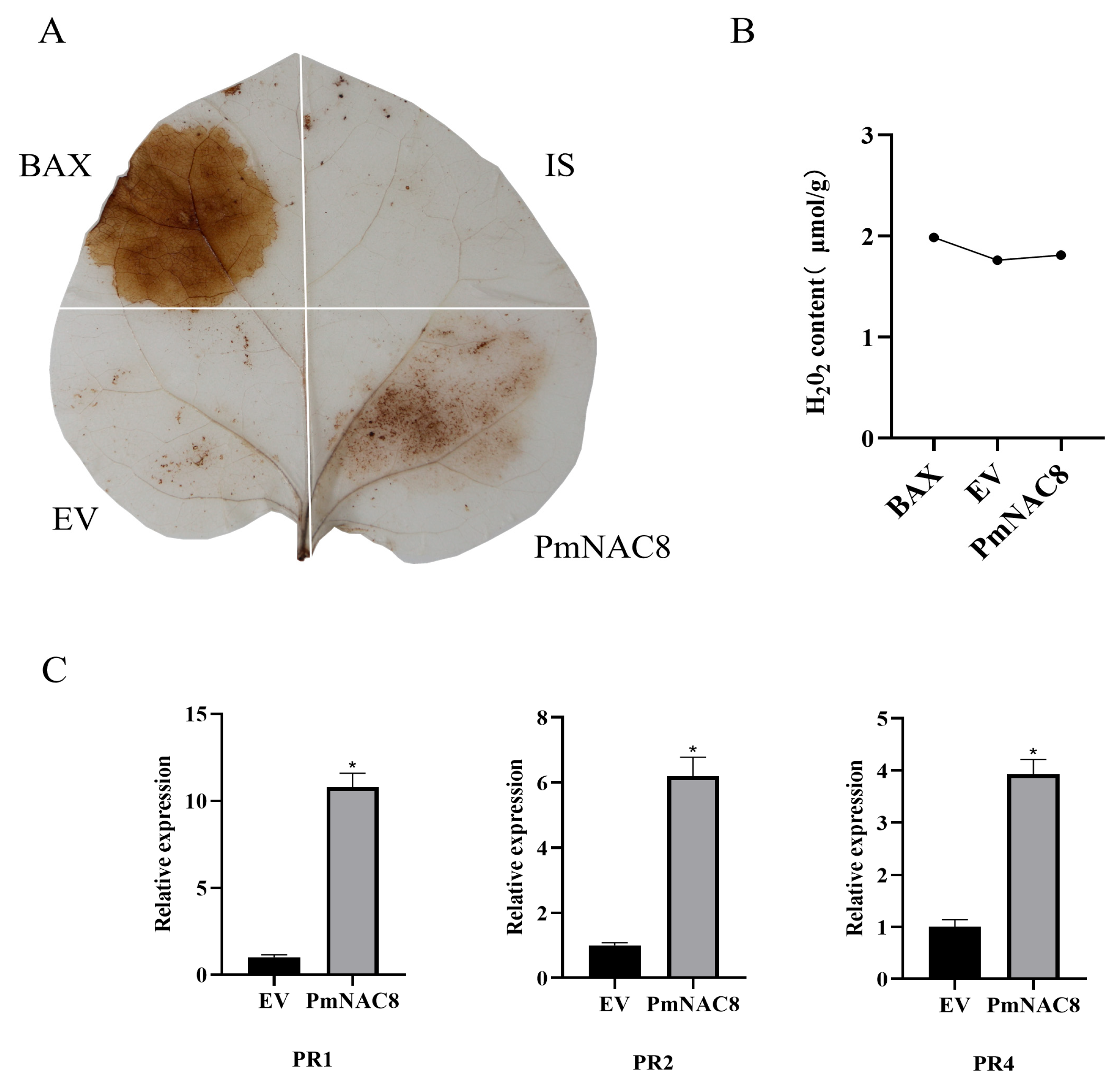 Plants 14 02399 g009