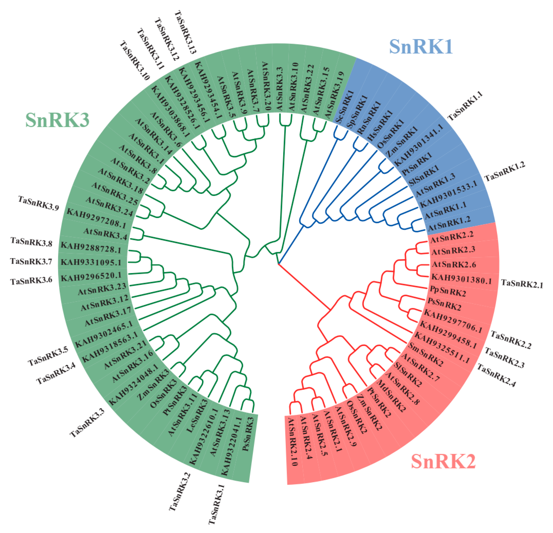 Plants 14 02410 g001