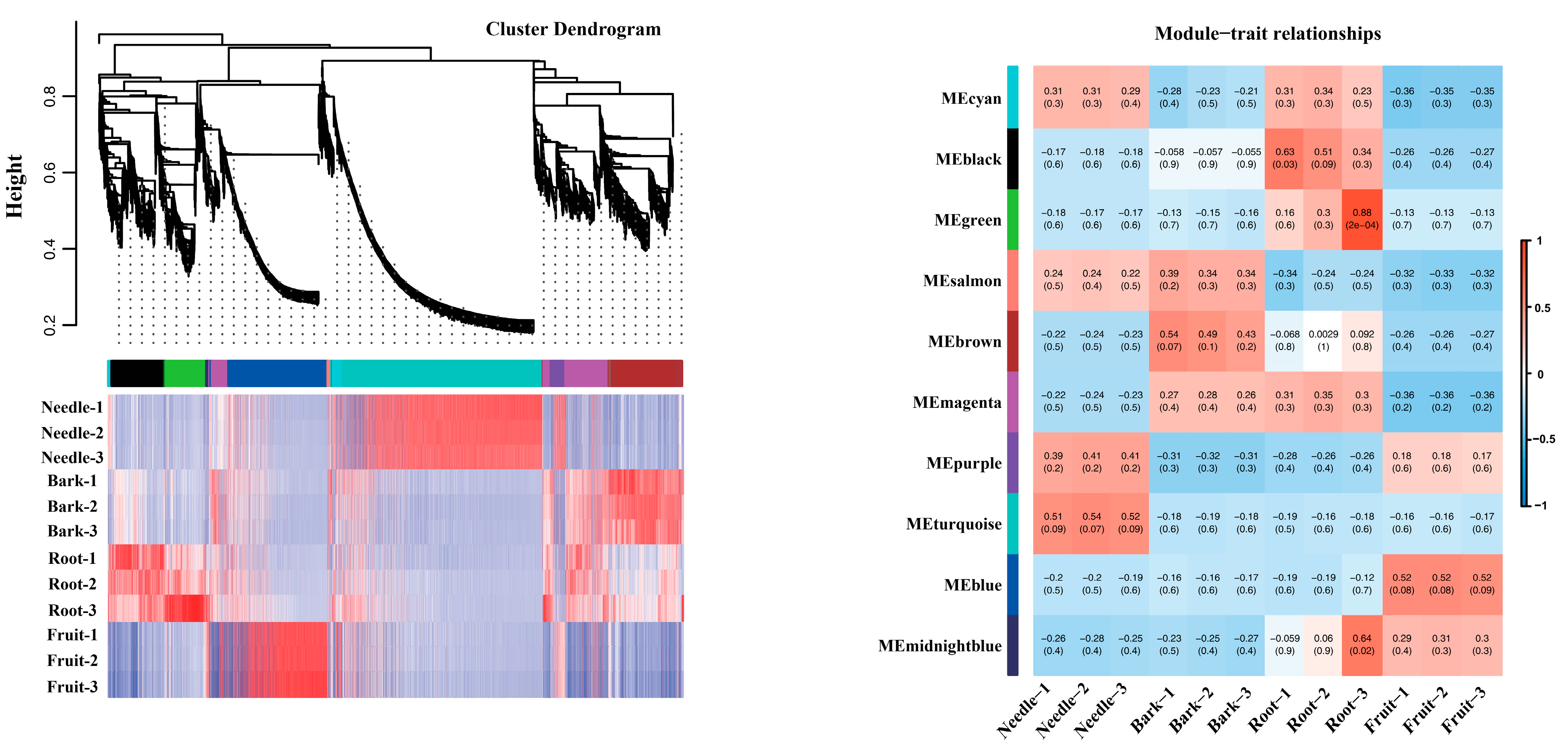 Plants 14 02410 g004