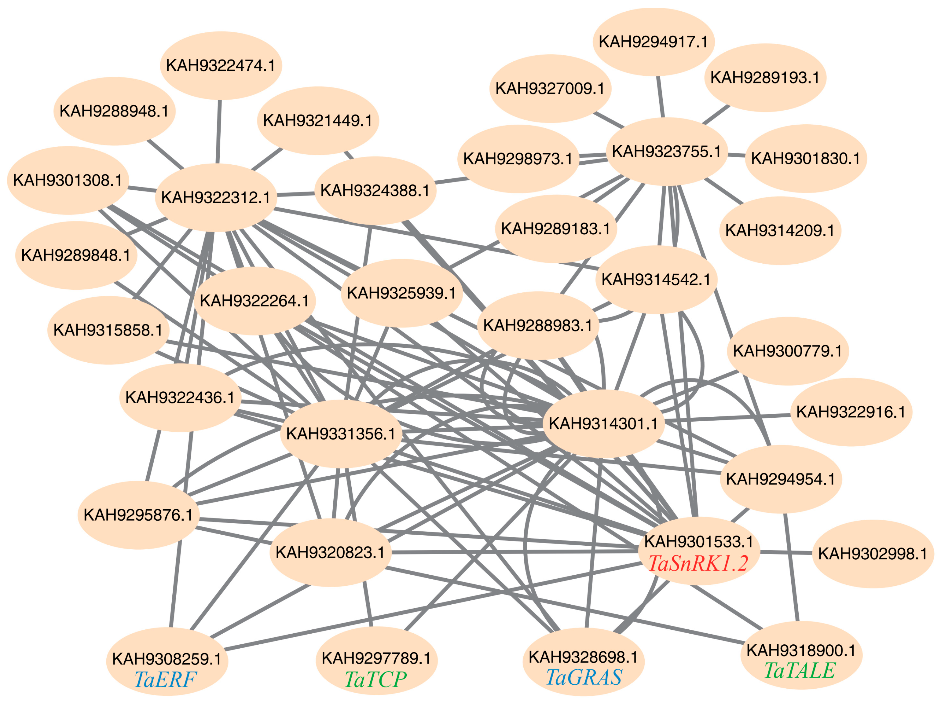 Plants 14 02410 g005