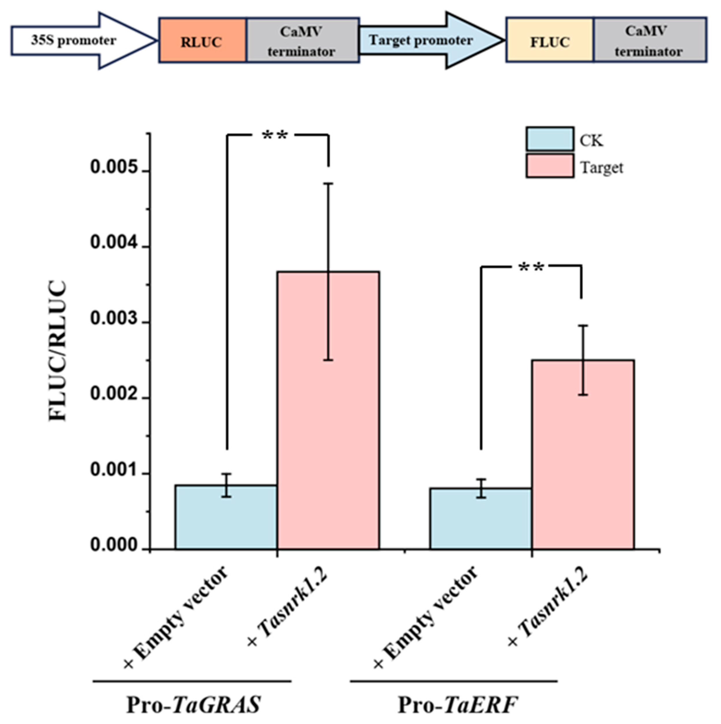 Plants 14 02410 g009
