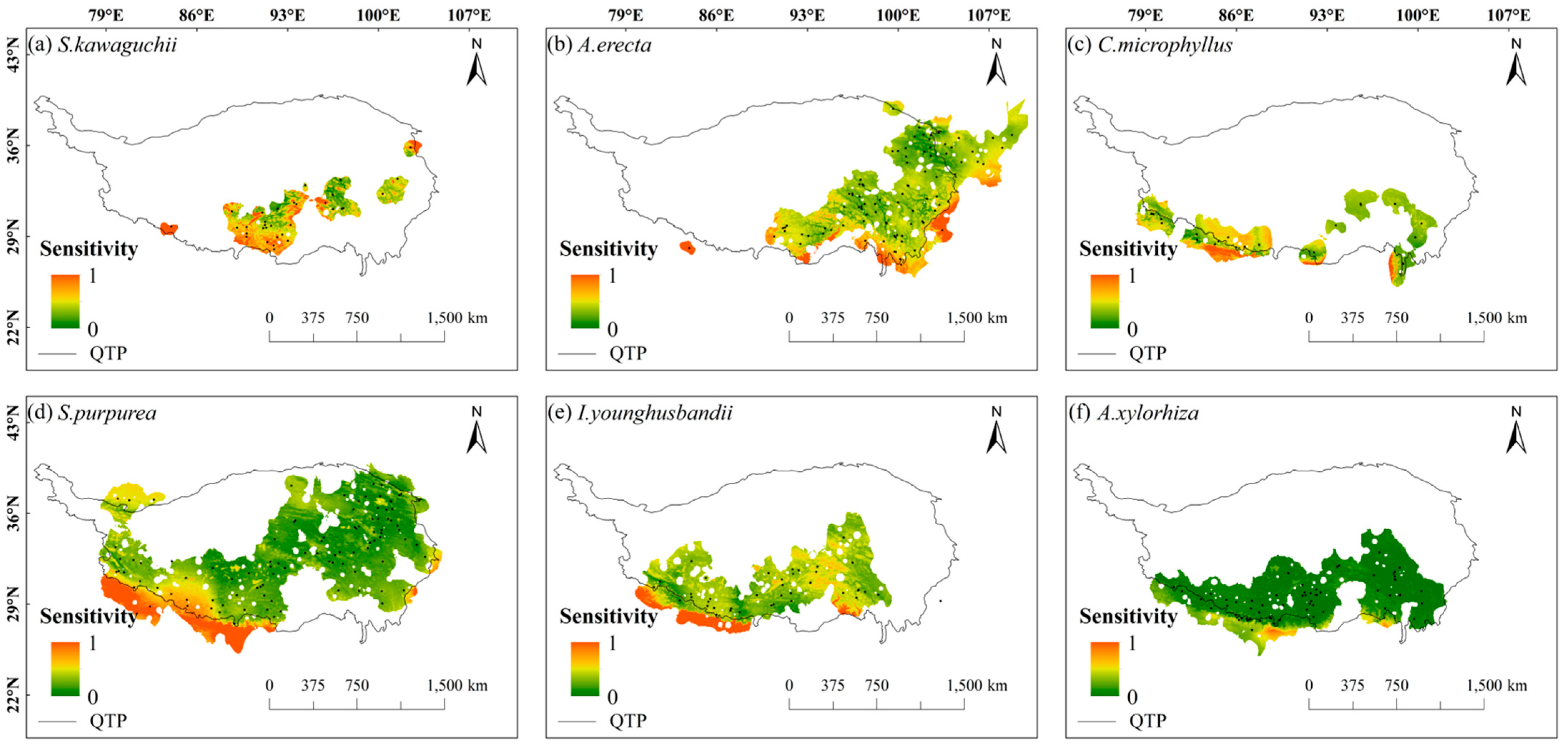 Plants 14 02424 g002