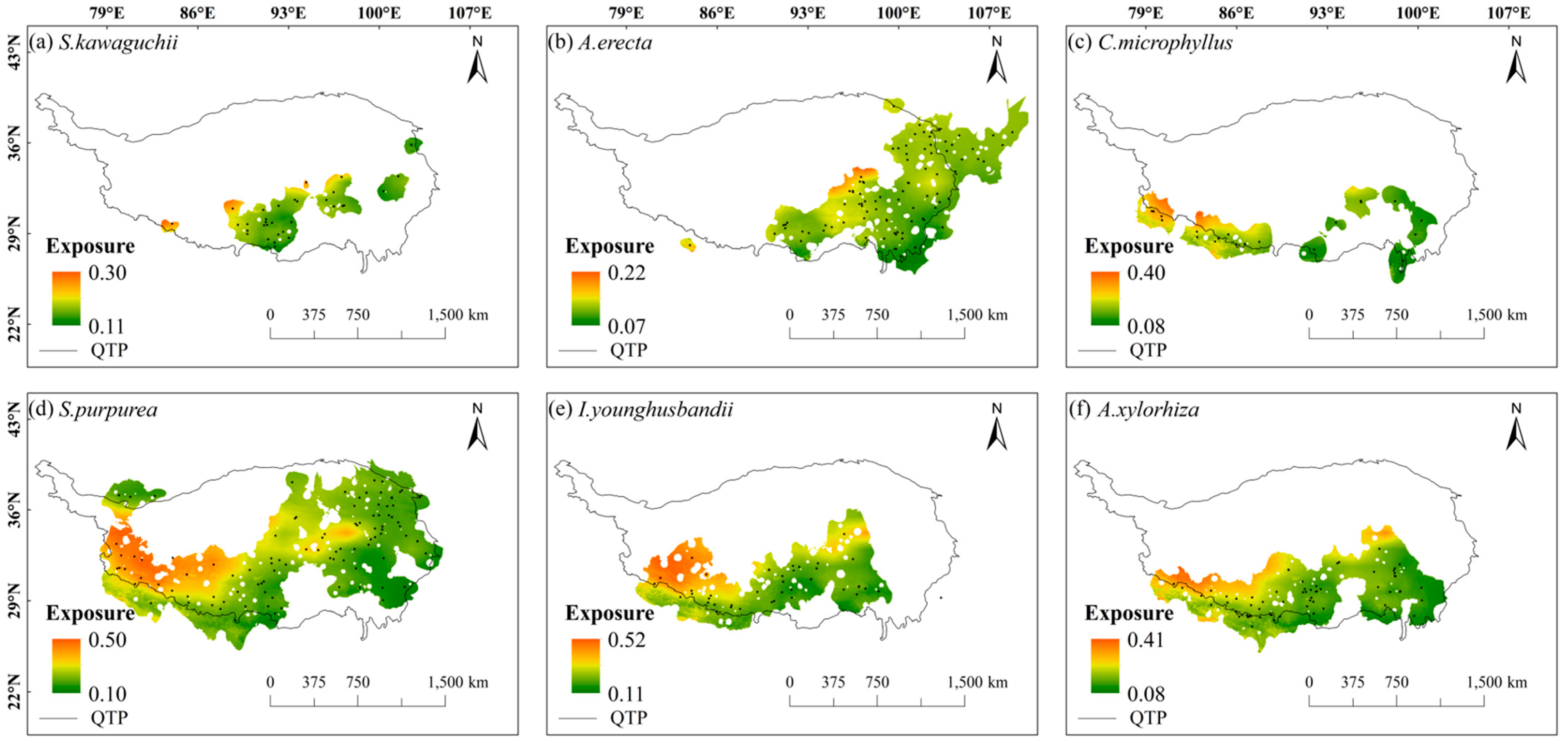 Plants 14 02424 g003
