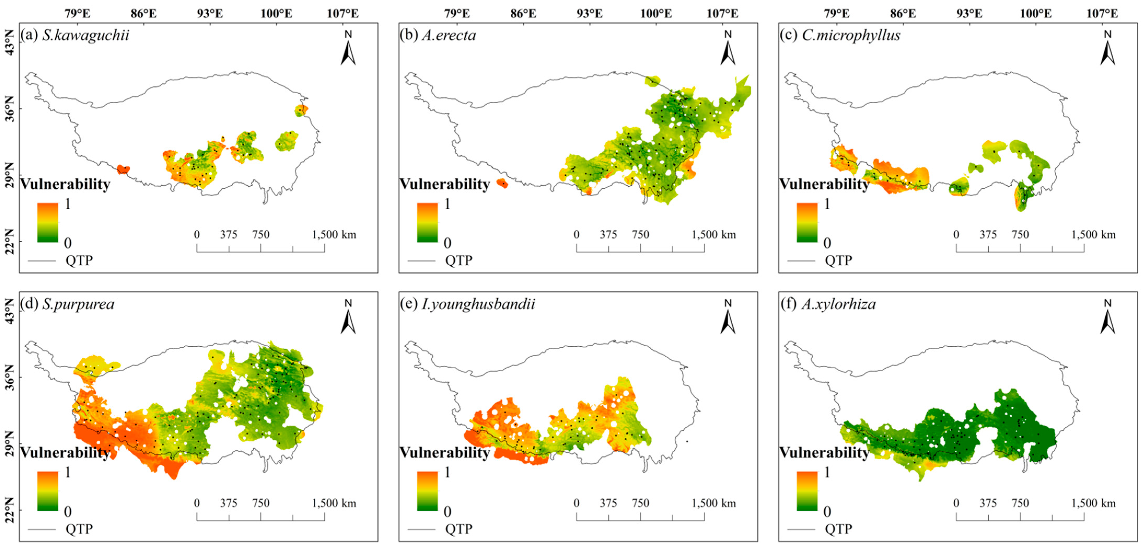 Plants 14 02424 g004