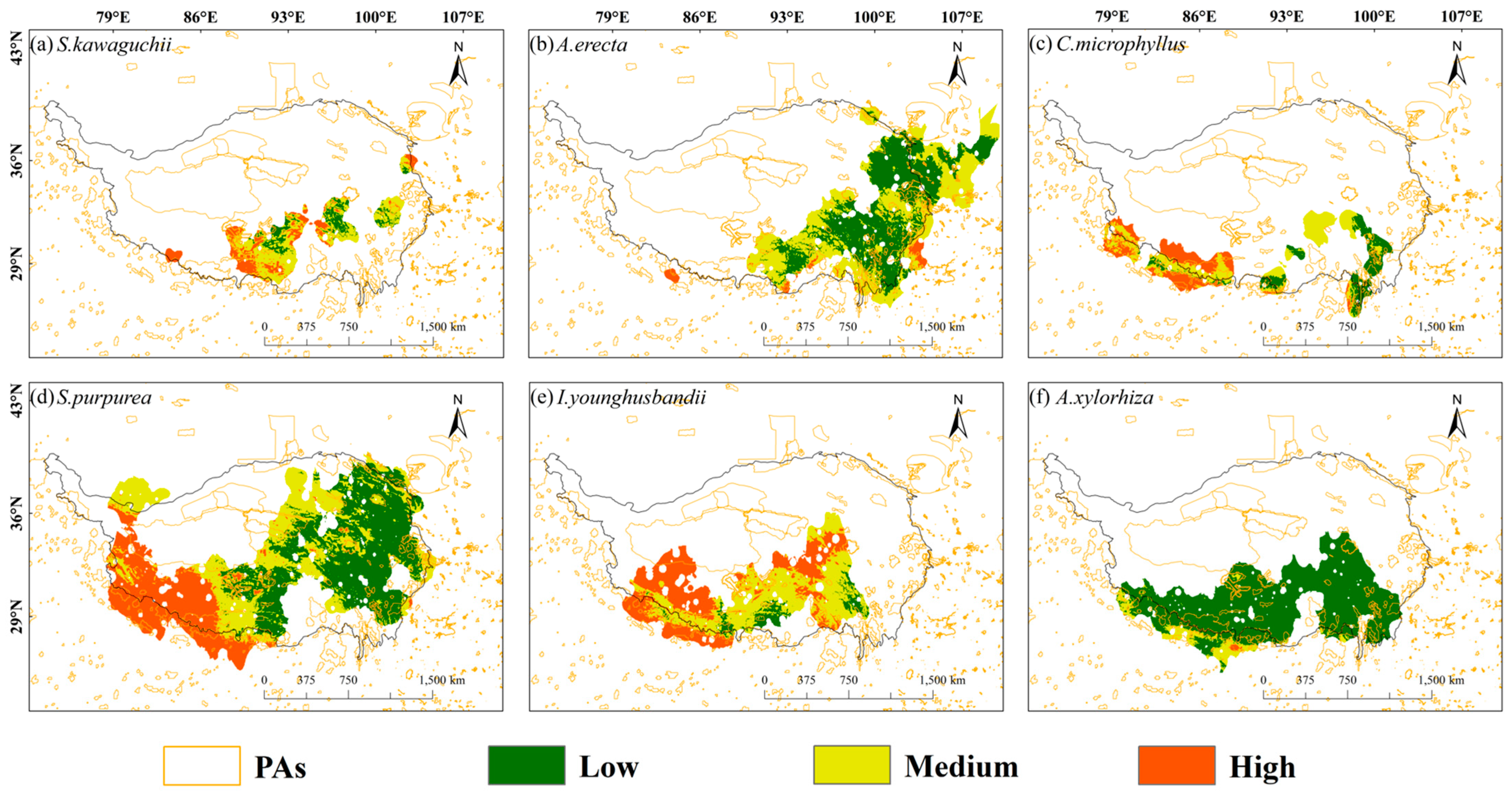Plants 14 02424 g005
