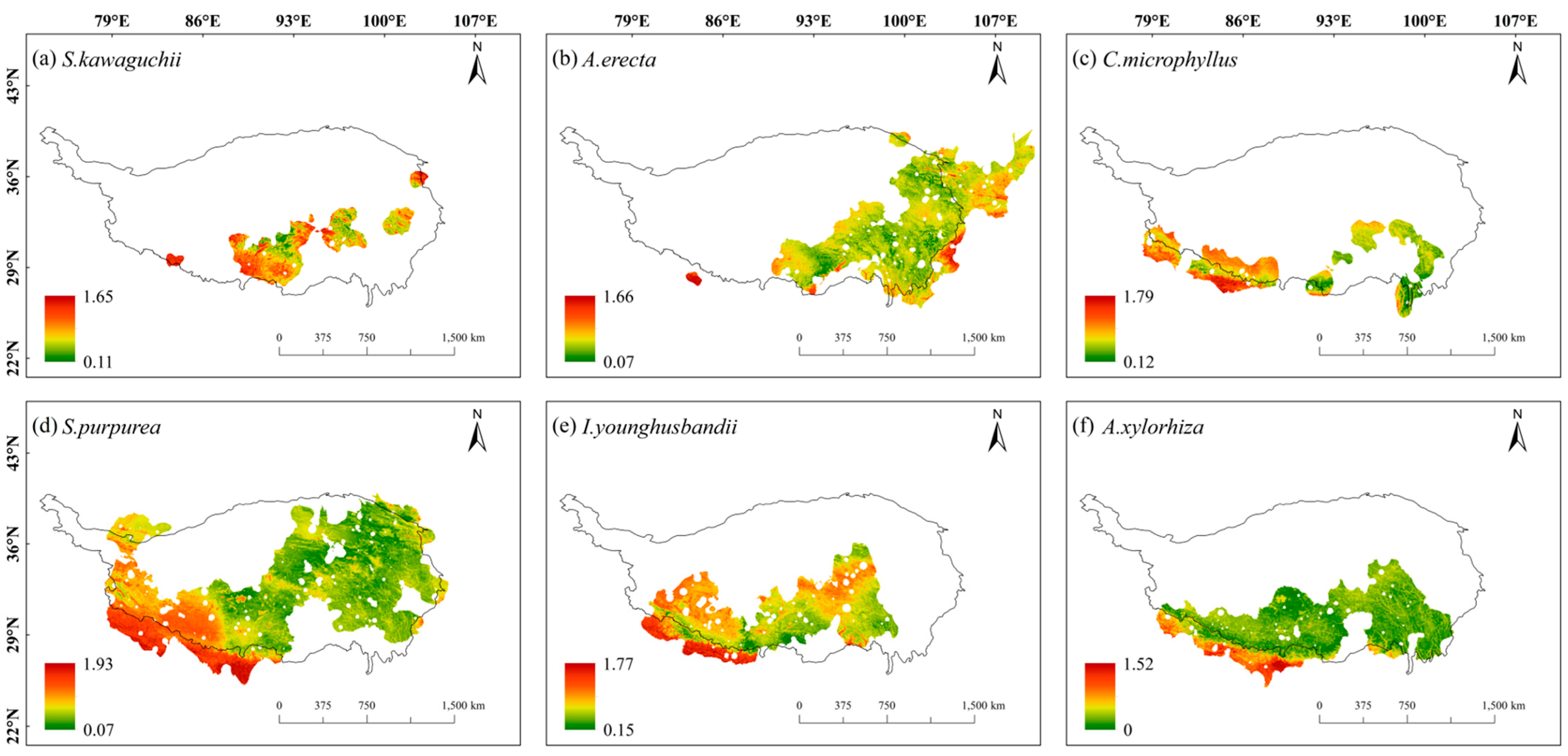 Plants 14 02424 g006