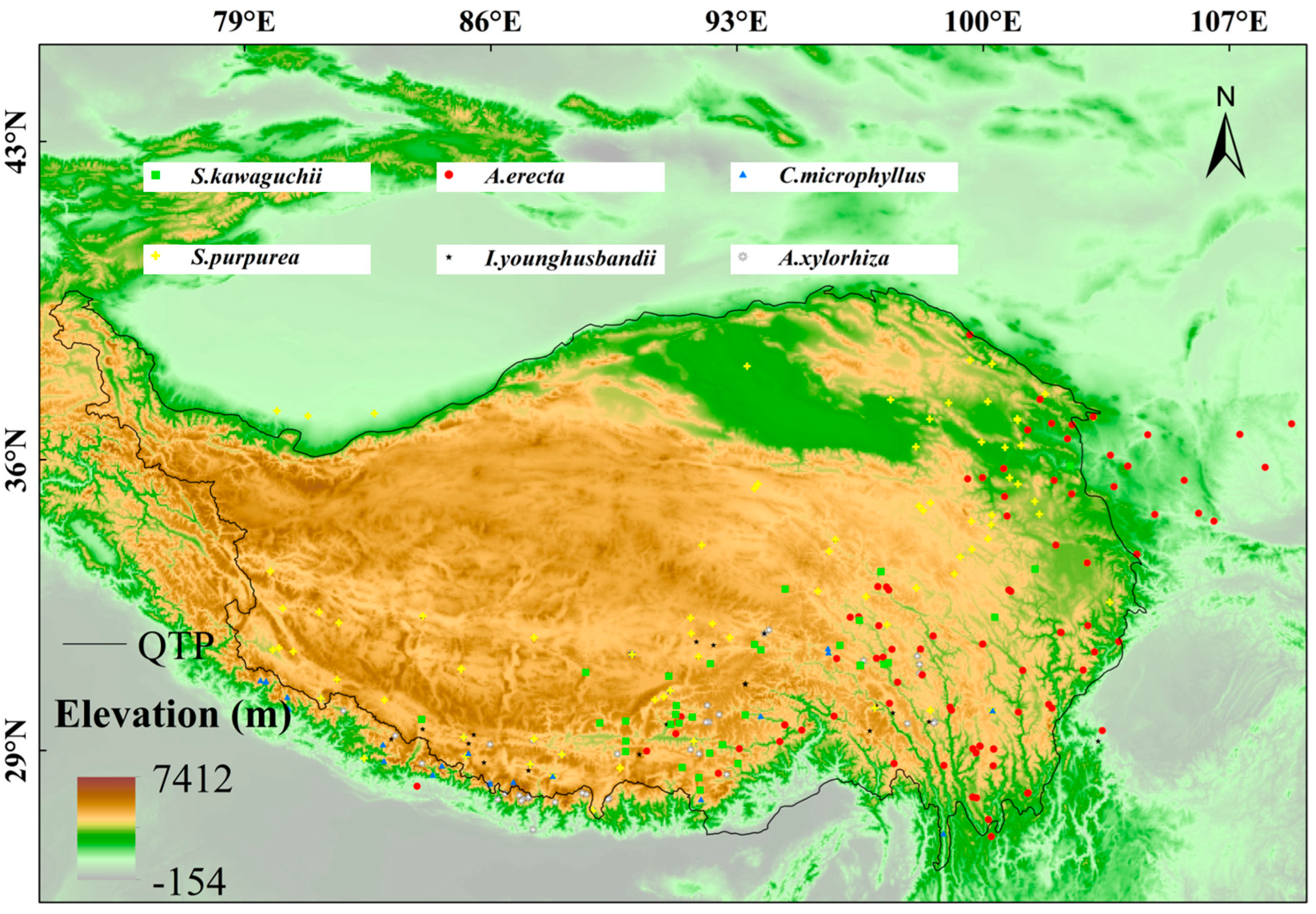 Plants 14 02424 g007
