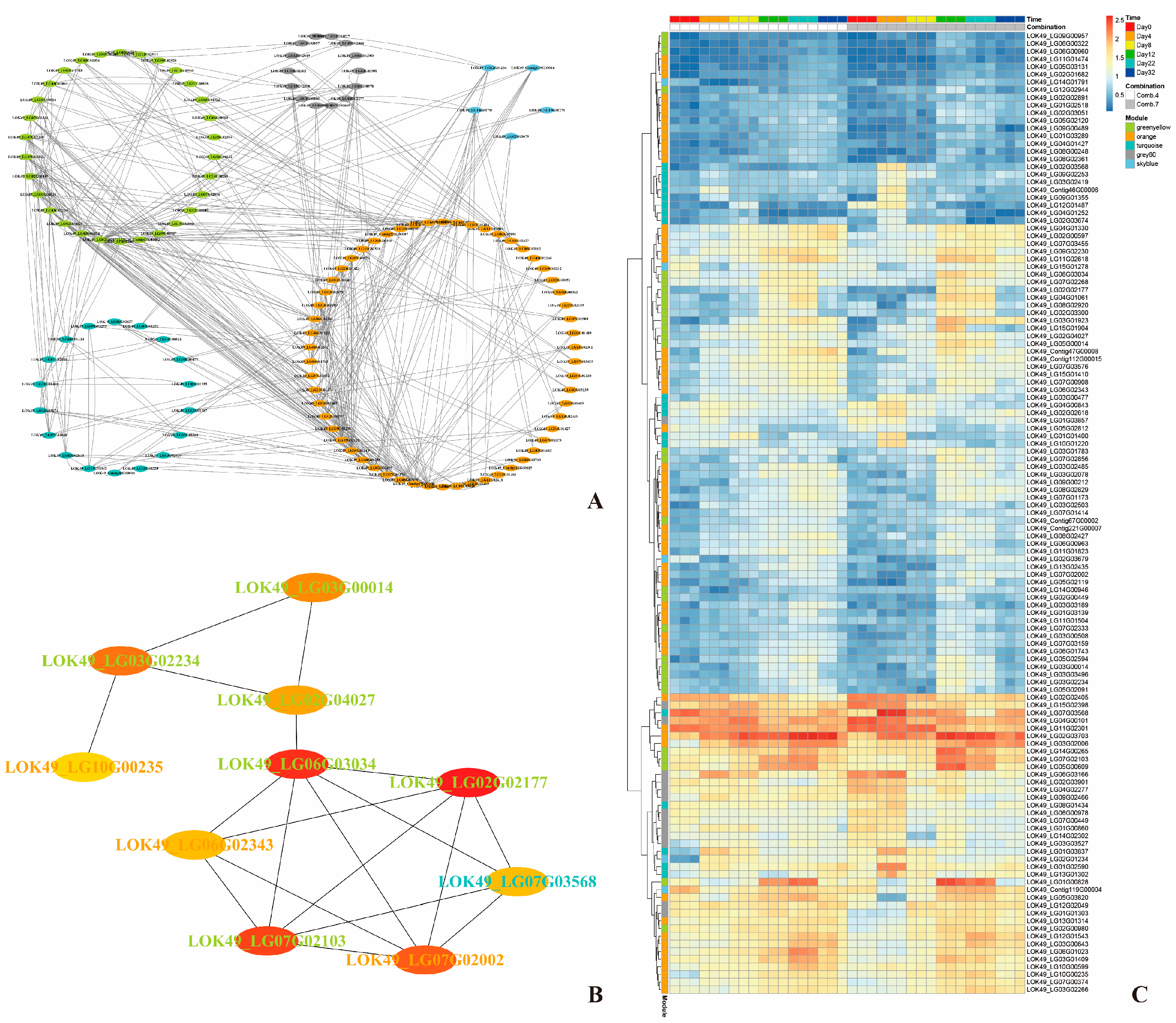 Plants 14 02432 g008 Plants 14 02432 g008