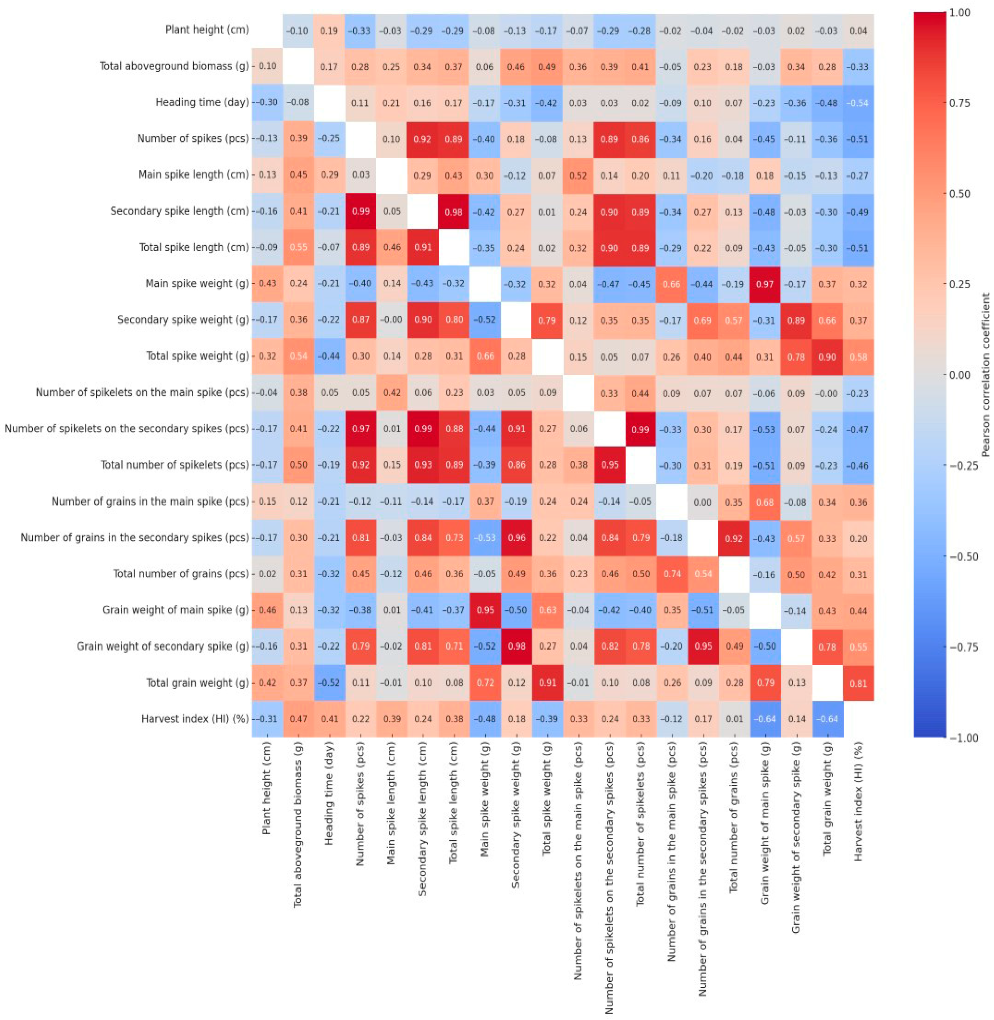 Plants 14 02435 g004 Plants 14 02435 g004