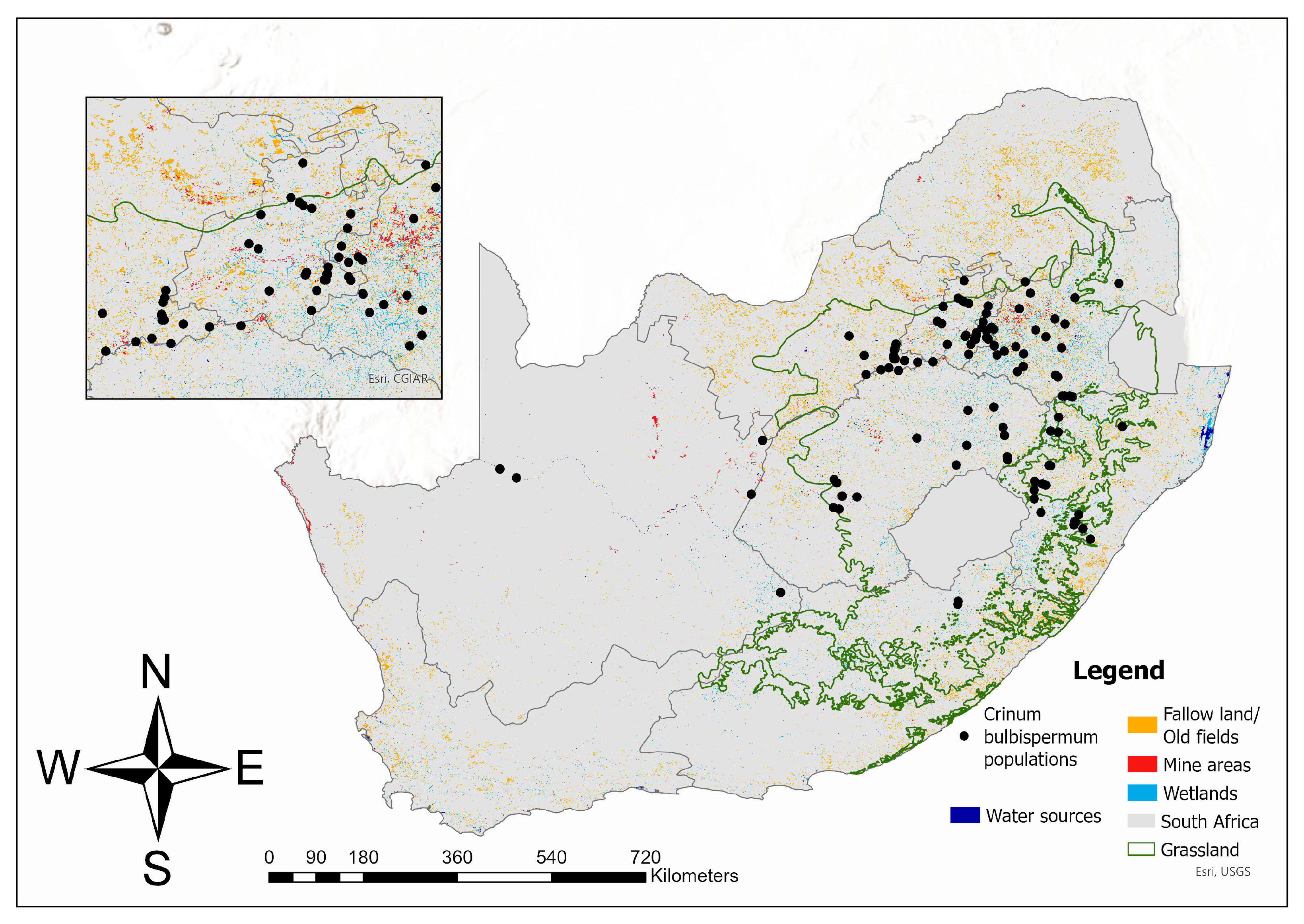 Plants 14 02443 g002