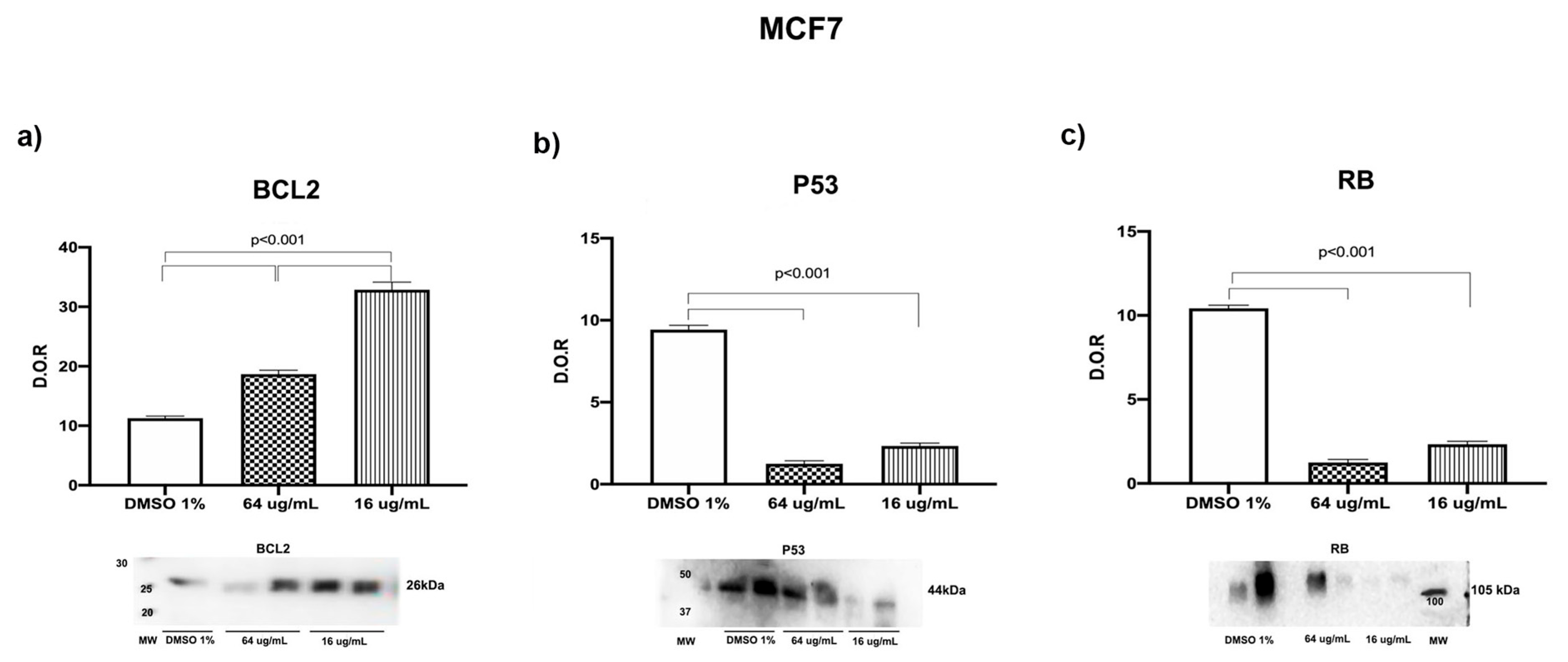 Plants 14 02449 g007