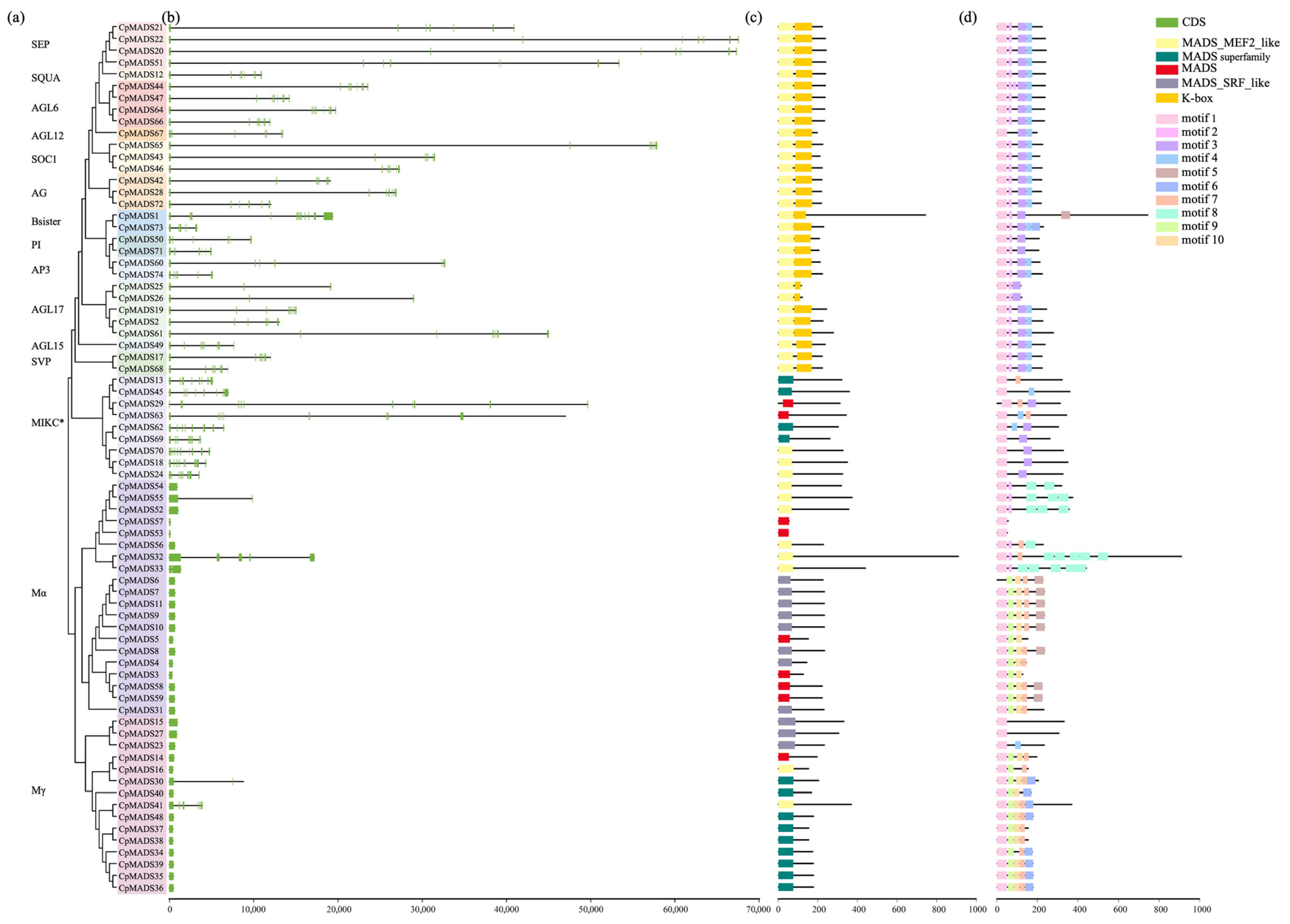 Plants 14 02450 g002