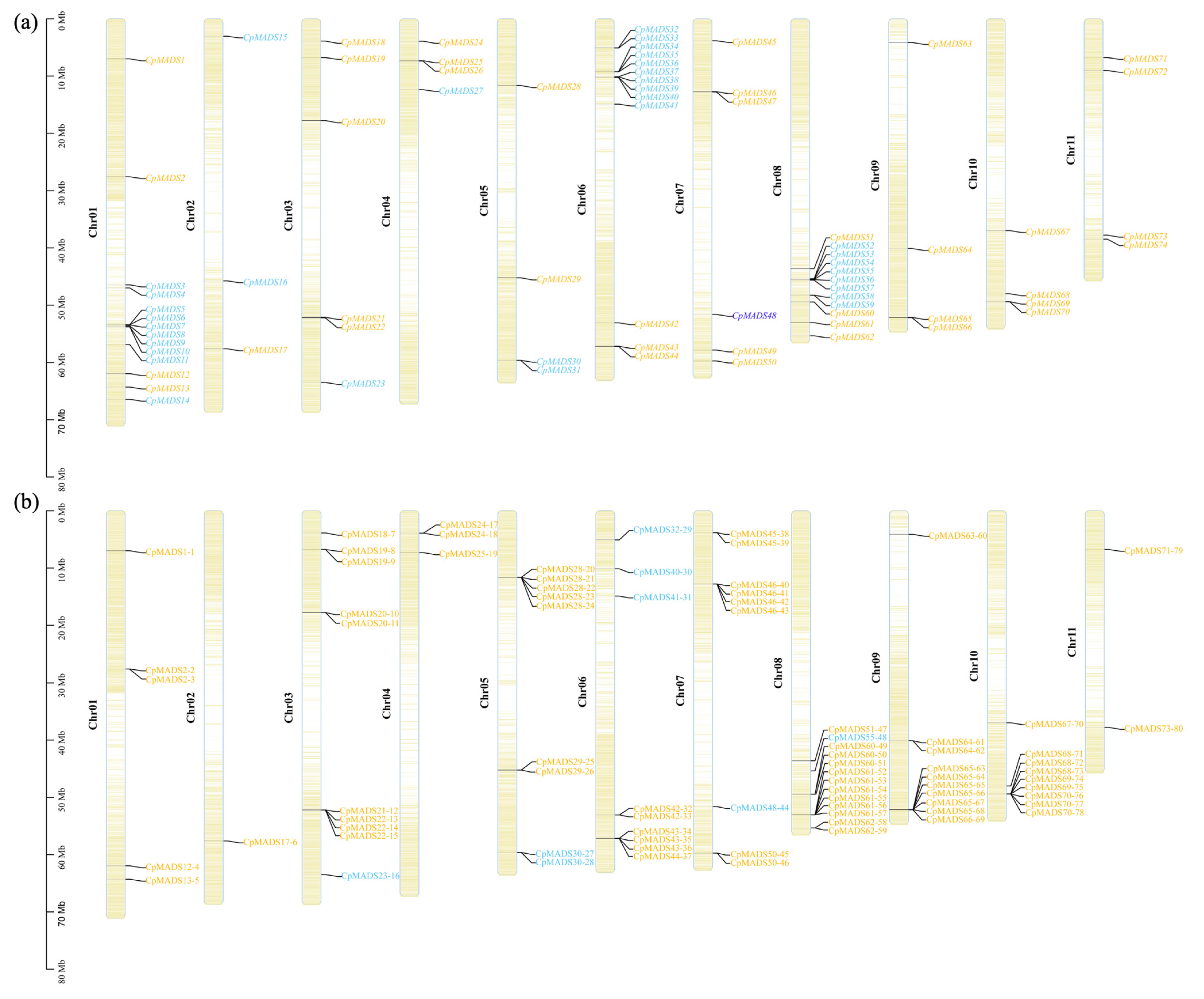 Plants 14 02450 g004