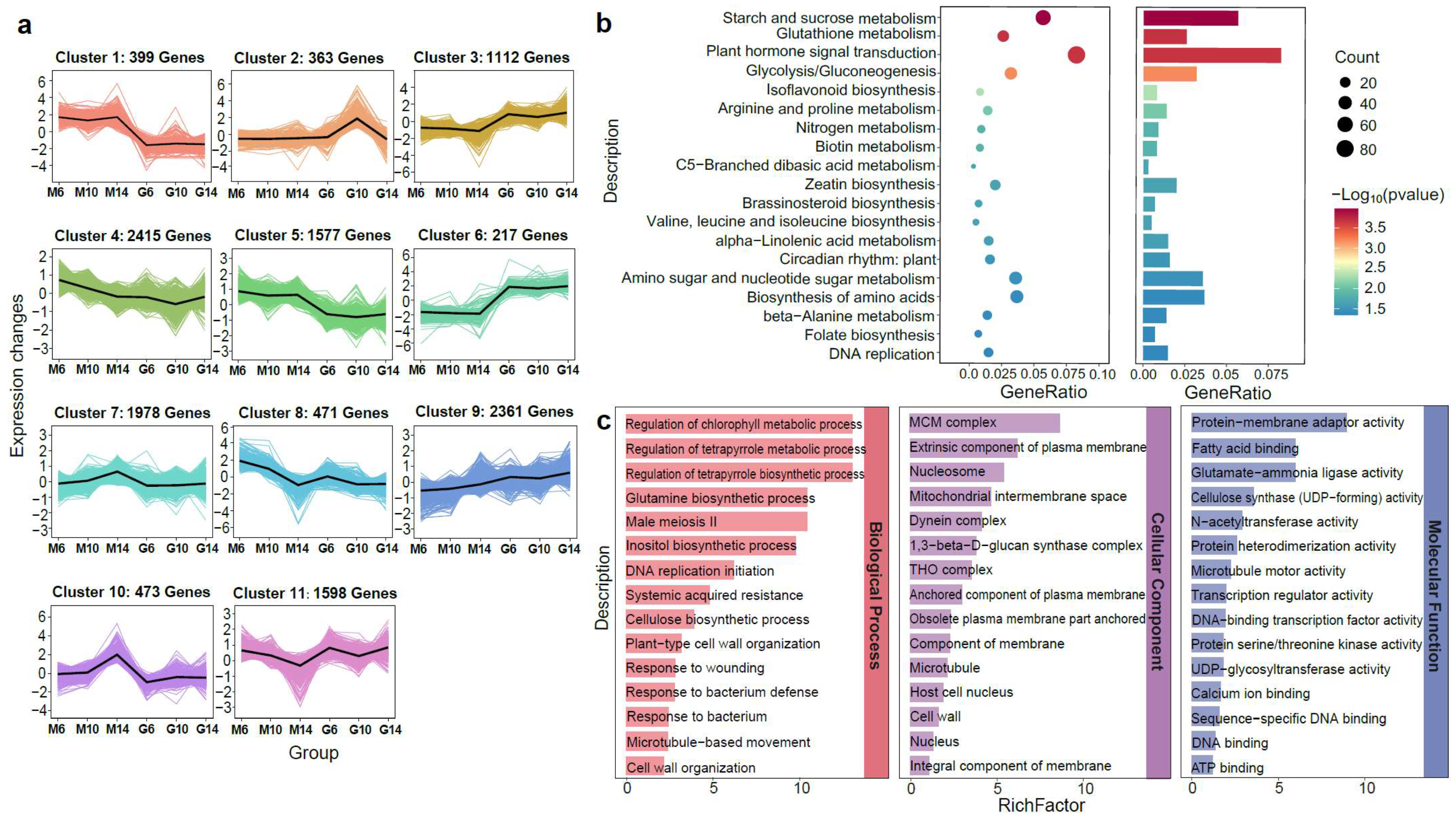 Plants 14 02451 g003 Plants 14 02451 g003