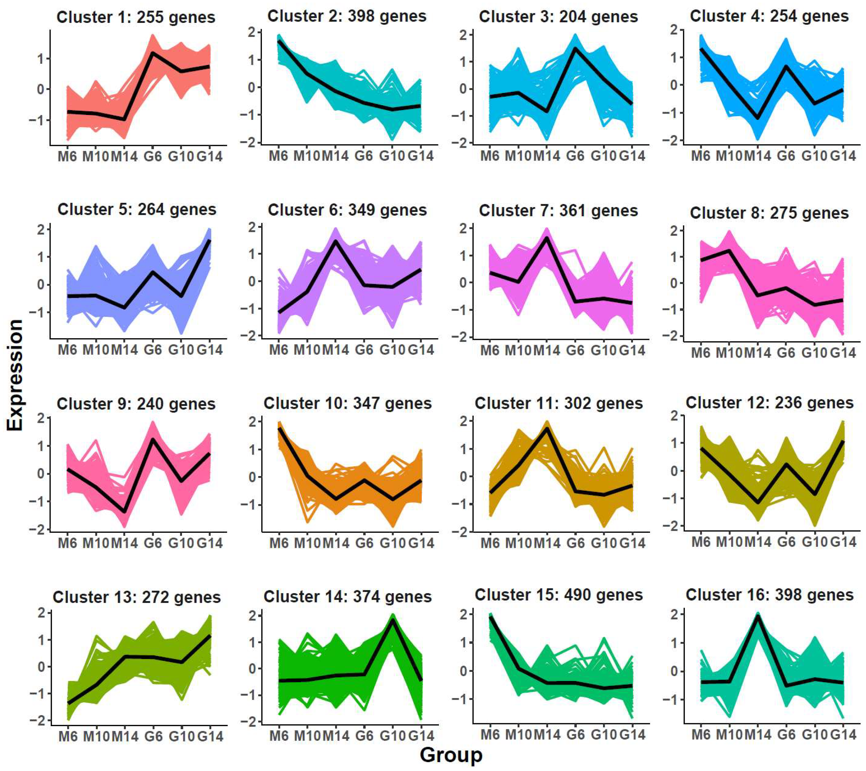 Plants 14 02451 g004 Plants 14 02451 g004