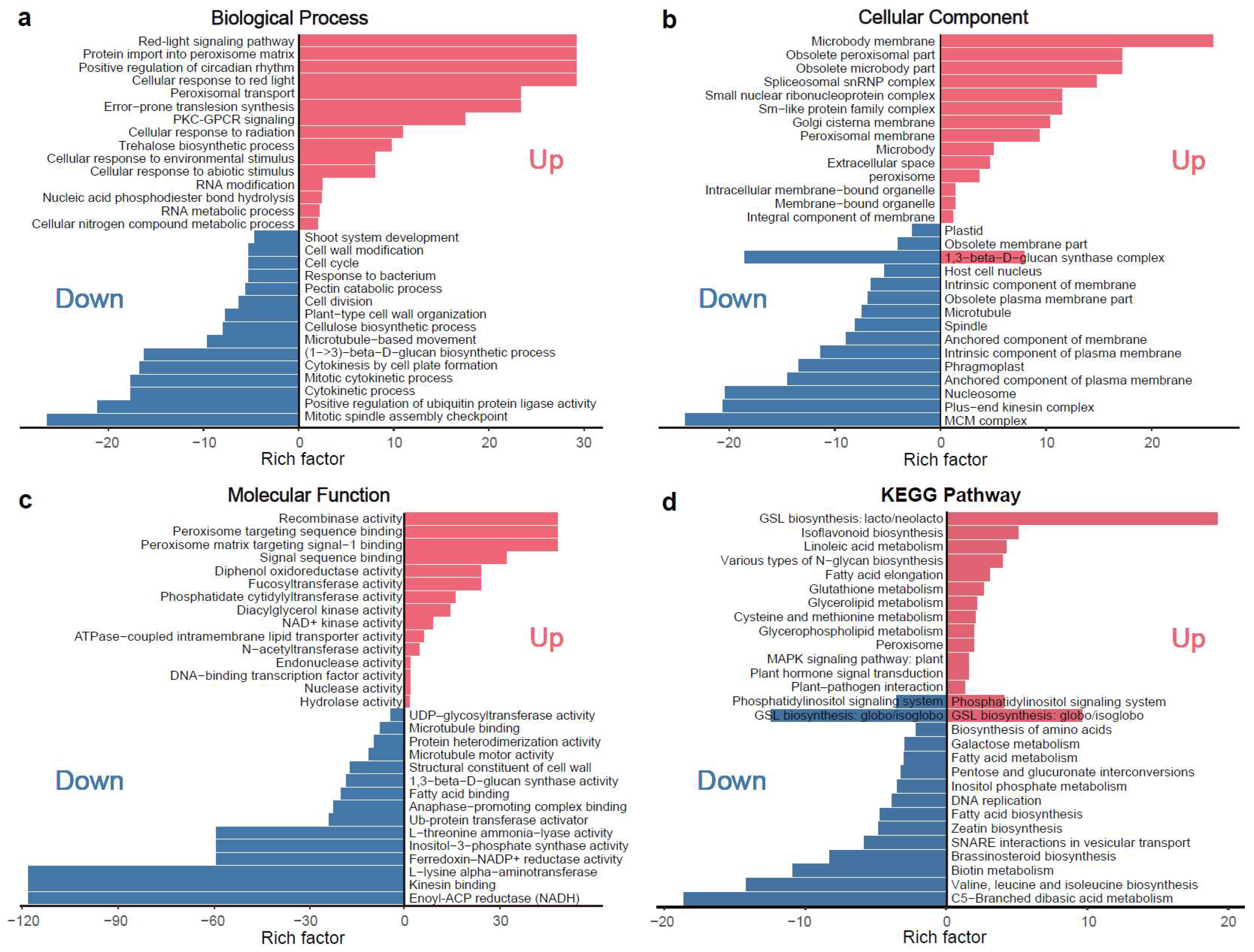 Plants 14 02451 g005 Plants 14 02451 g005
