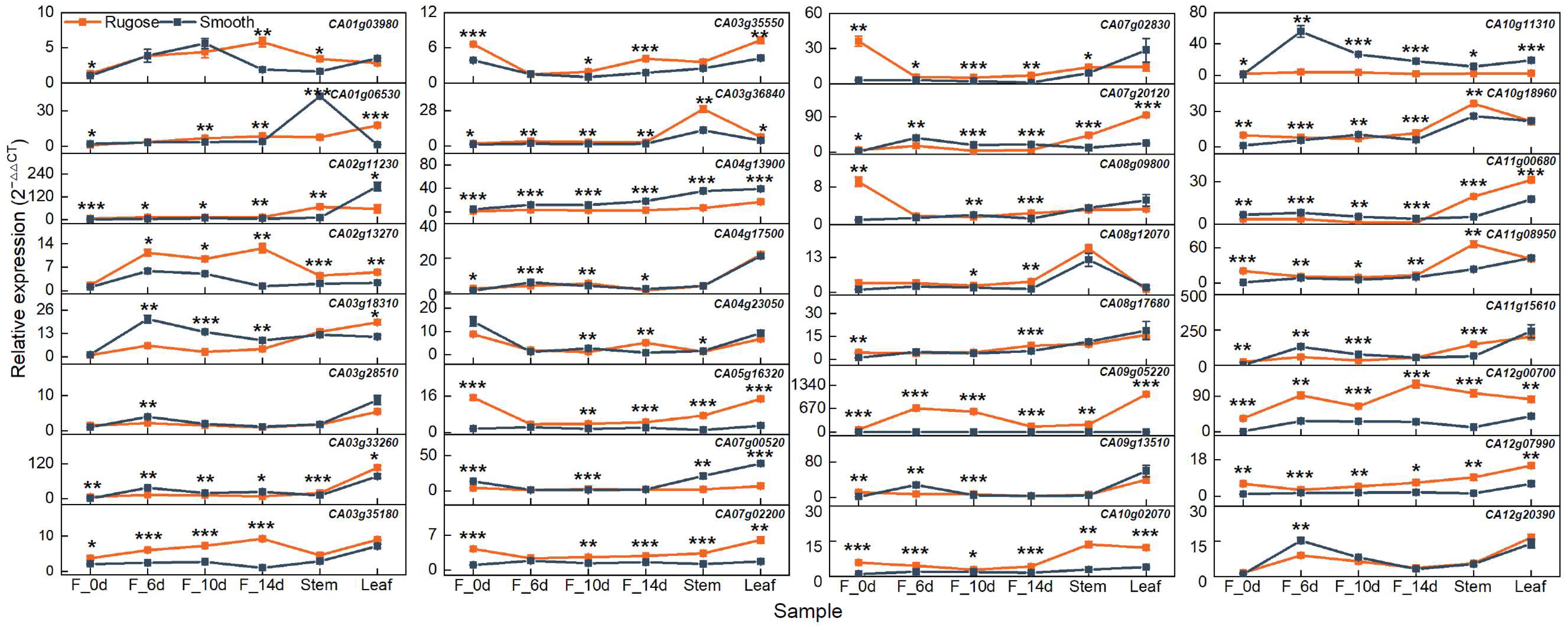 Plants 14 02451 g006 Plants 14 02451 g006