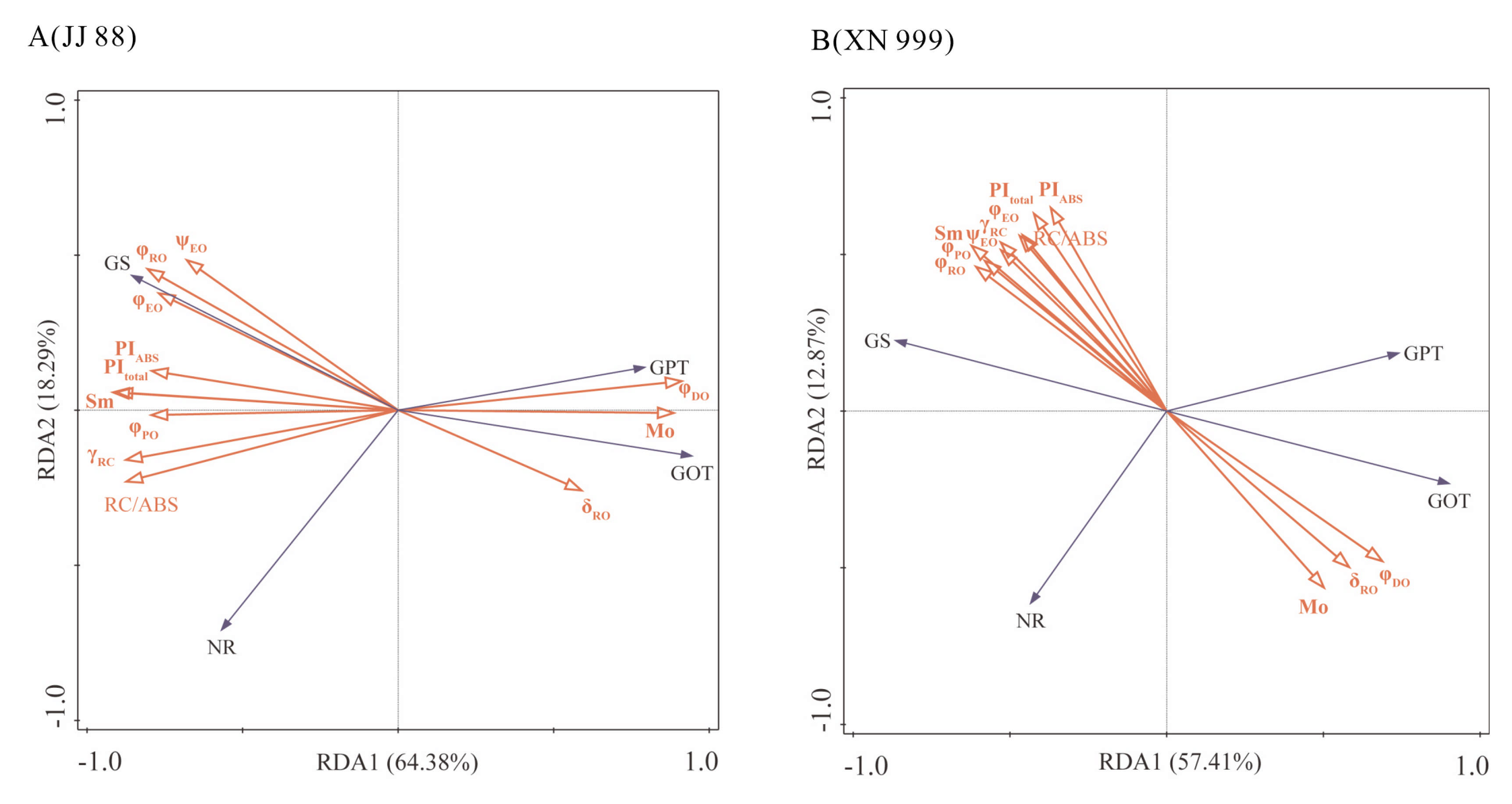 Plants 14 02467 g005