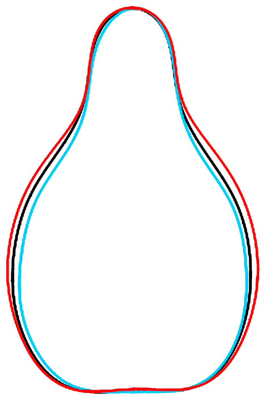 Plants 14 02481 g001