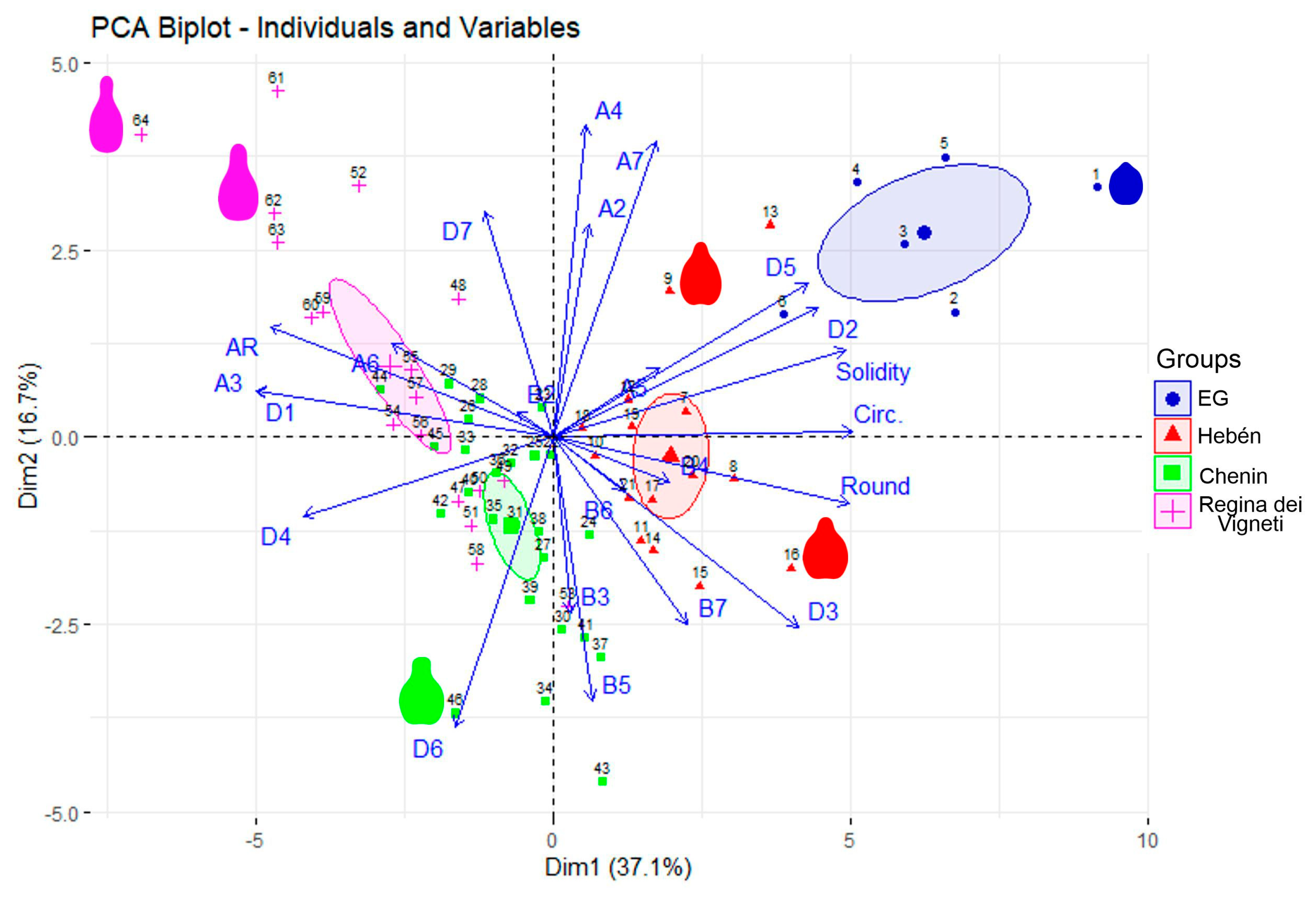 Plants 14 02481 g005
