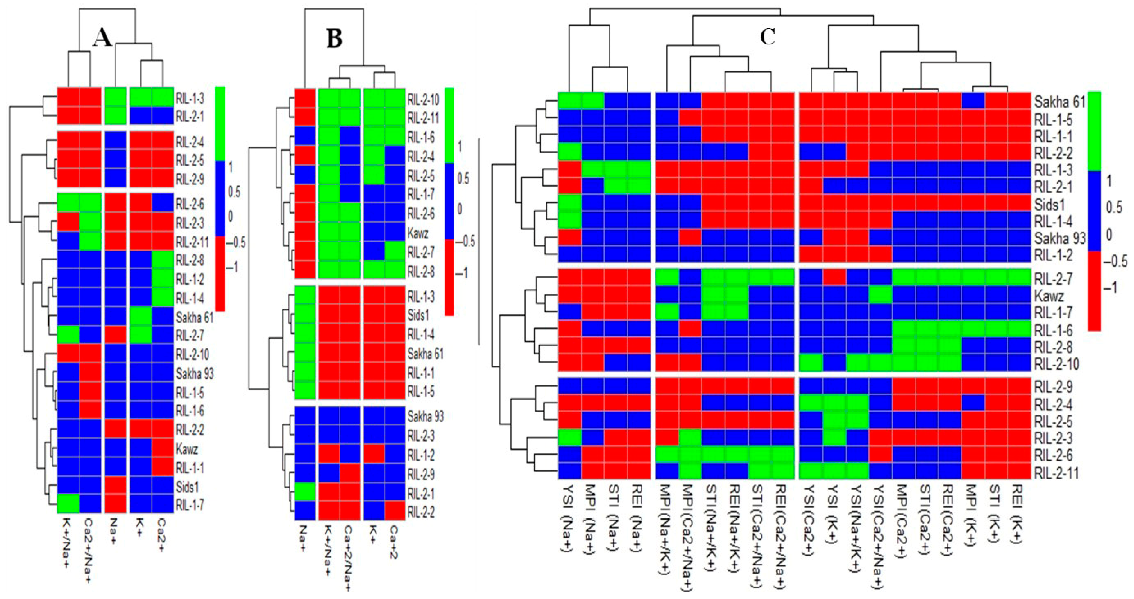 Plants 14 02488 g001