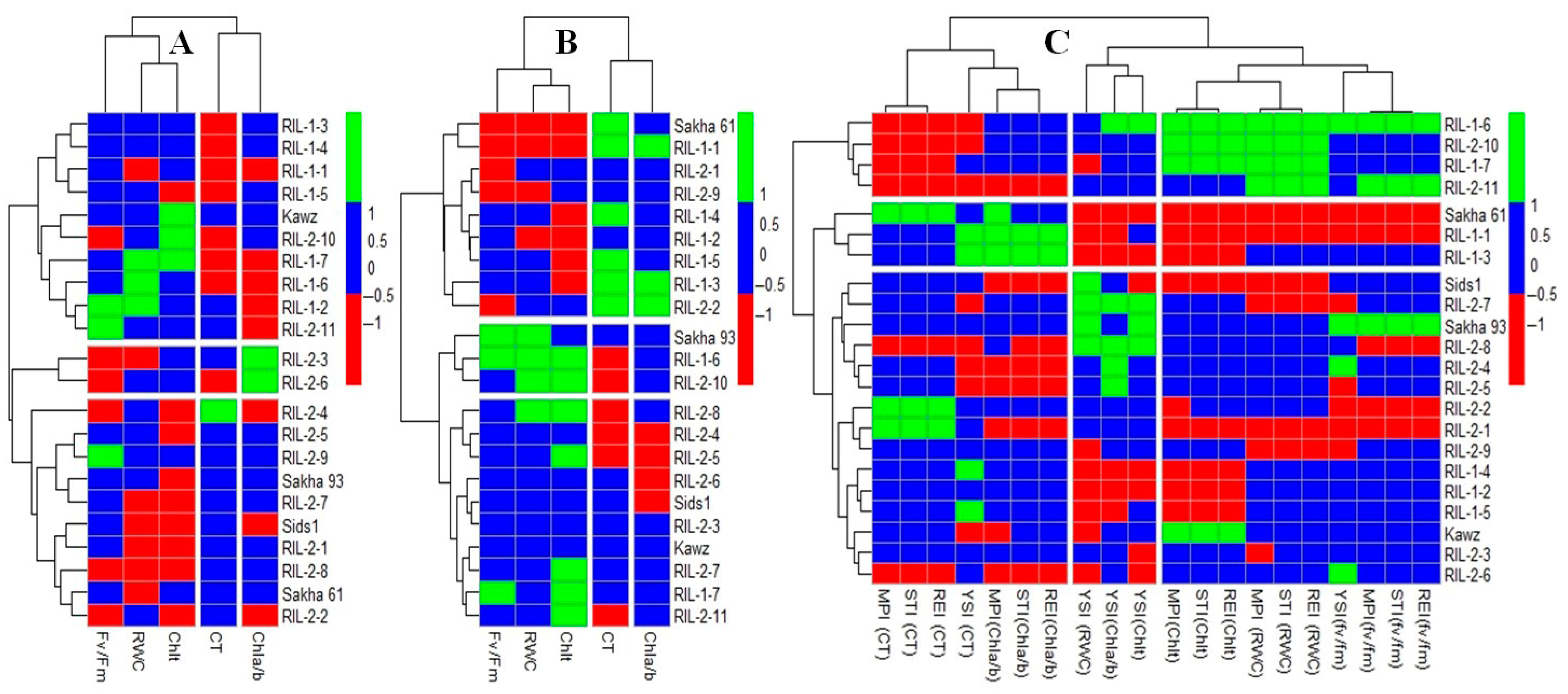 Plants 14 02488 g002