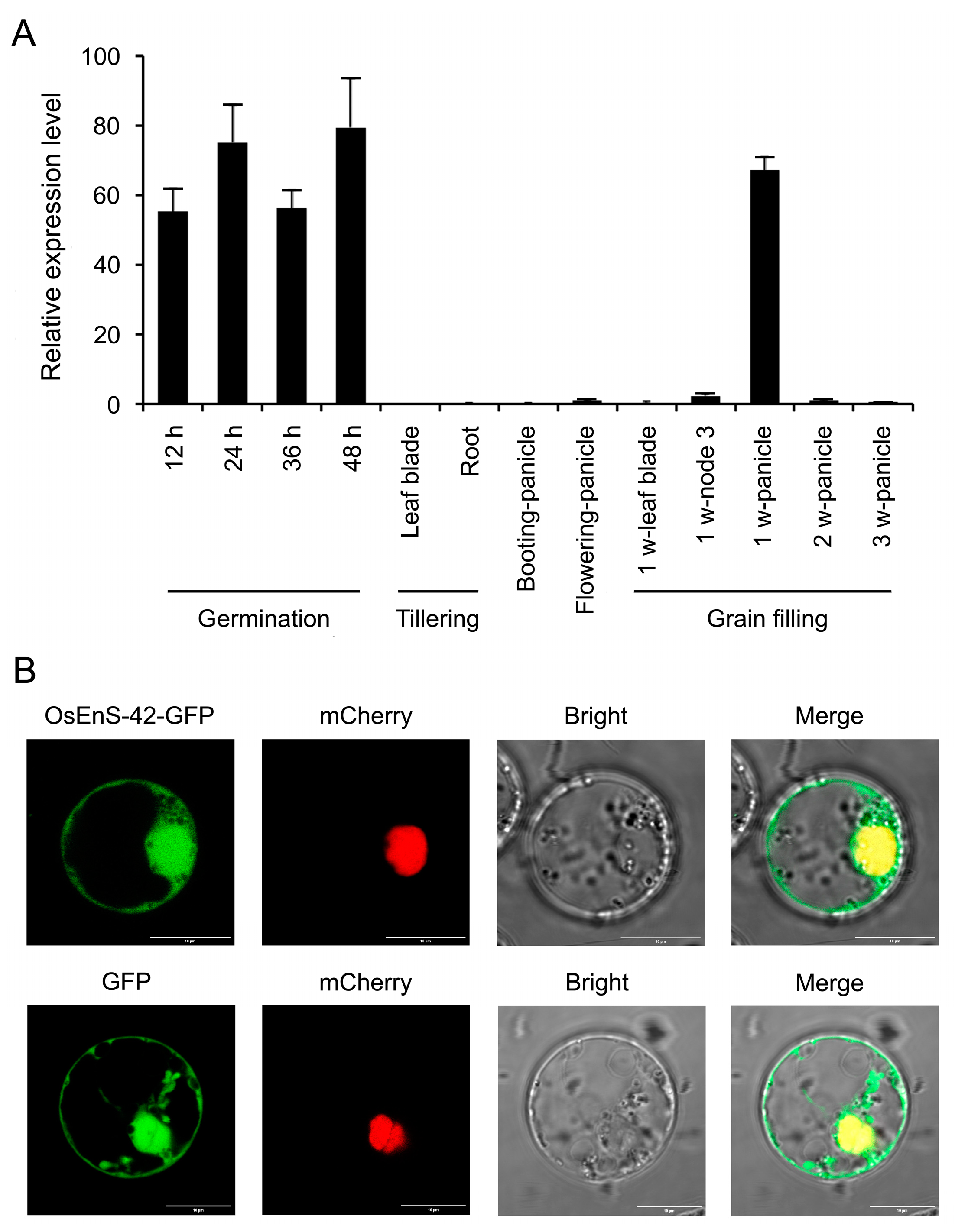 Plants 14 02492 g001