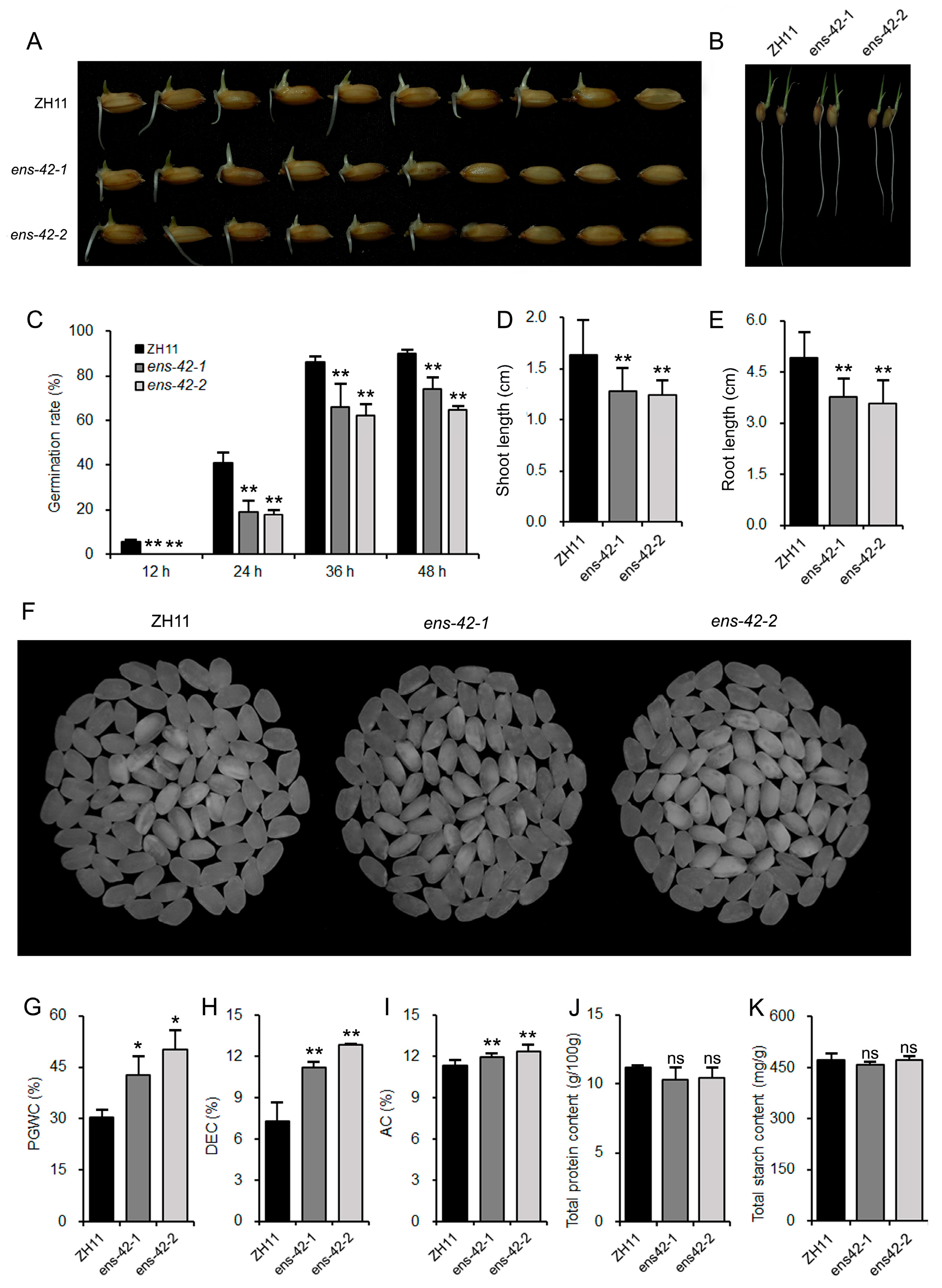 Plants 14 02492 g002