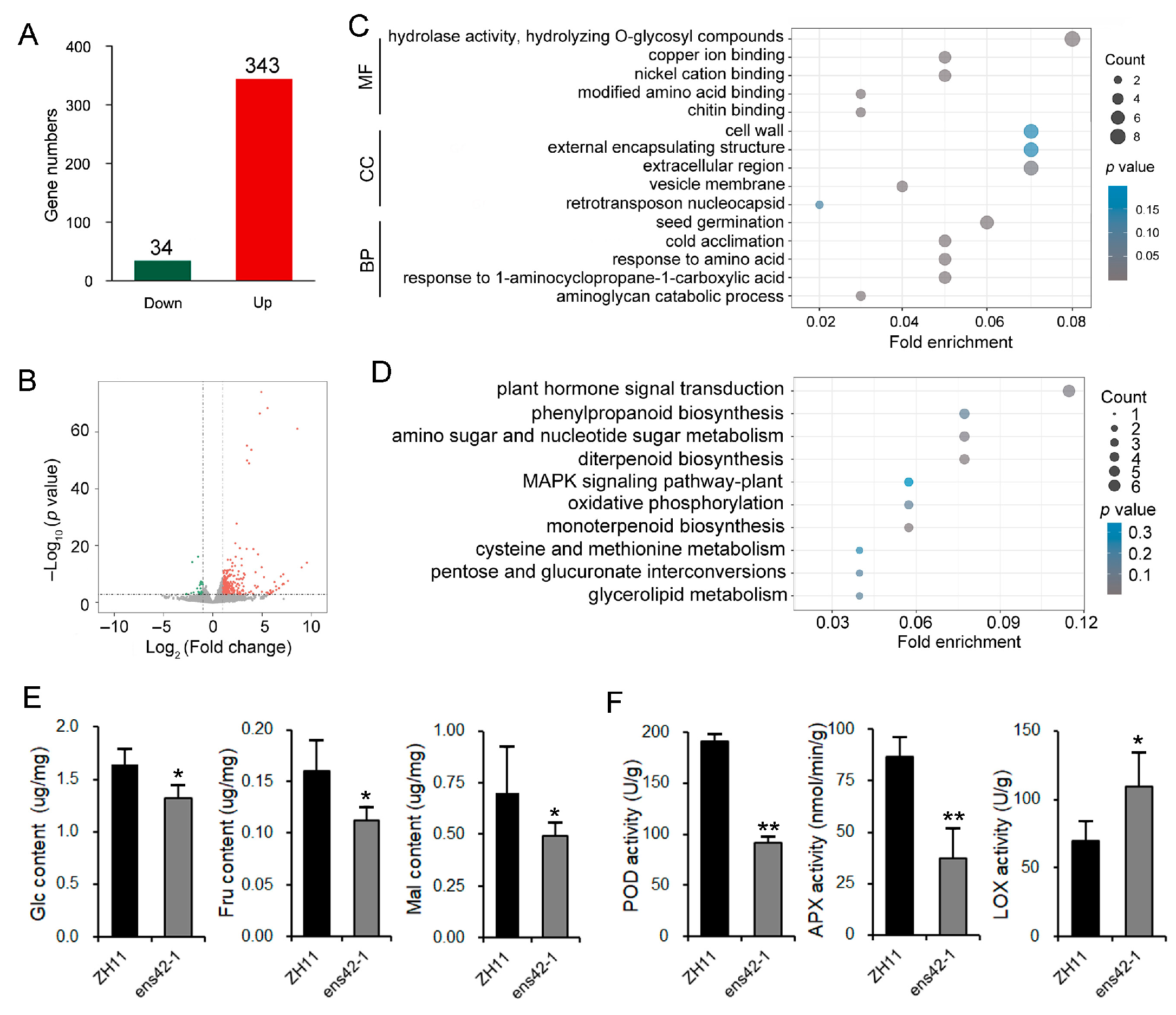 Plants 14 02492 g003